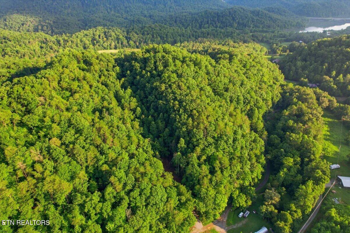 Tower Road Tazewell TN 37879