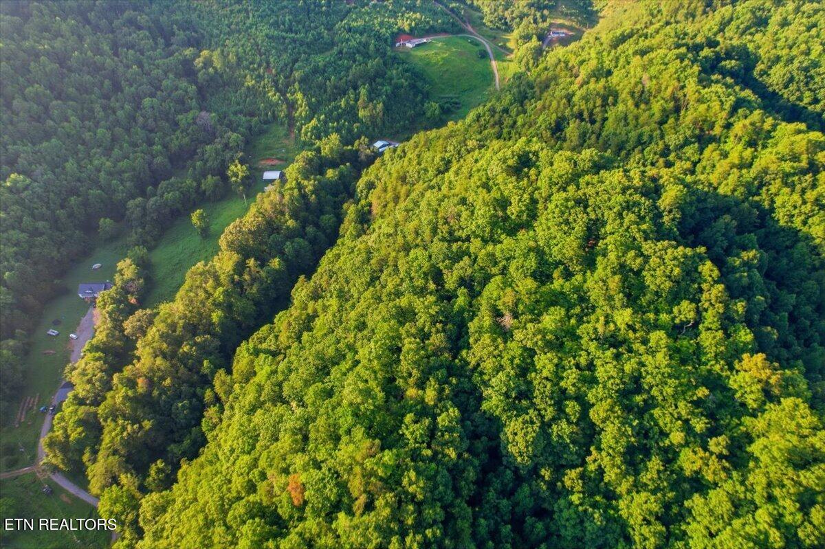 Tower Road Tazewell TN 37879
