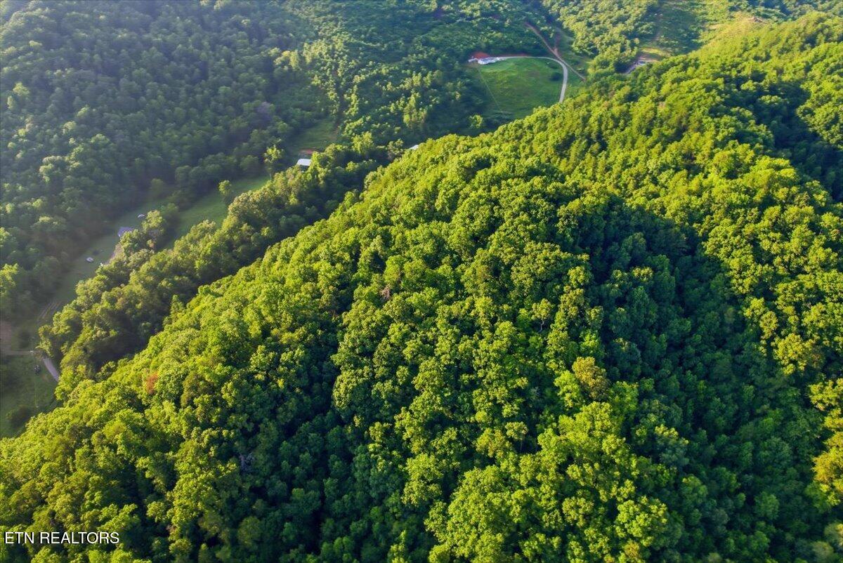 Tower Road Tazewell TN 37879