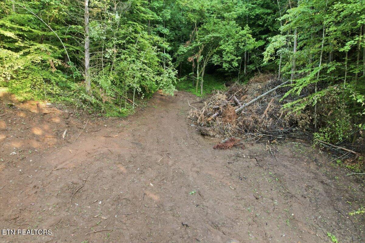 Tower Road Tazewell TN 37879