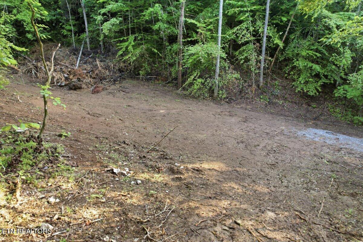 Tower Road Tazewell TN 37879