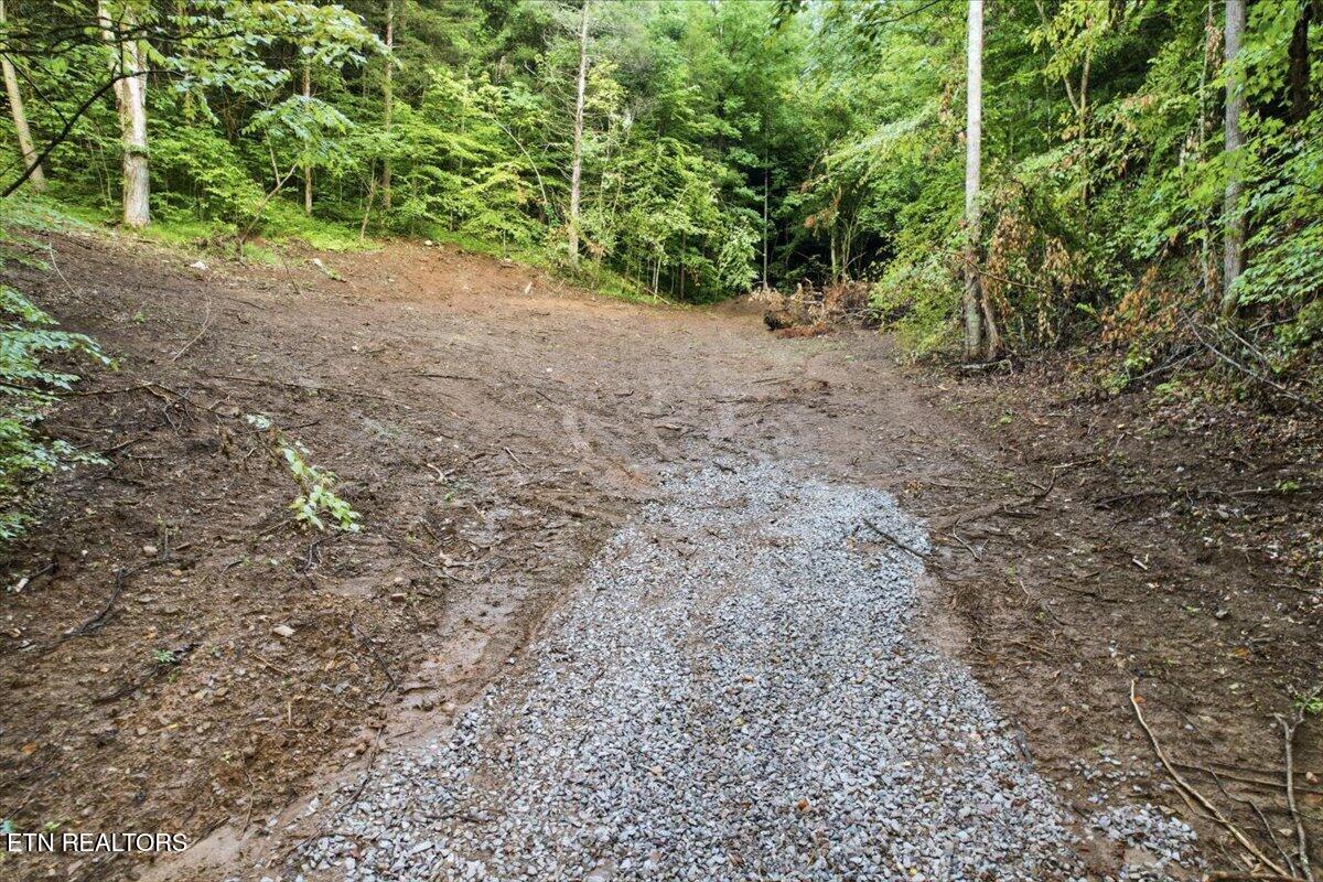 Tower Road Tazewell TN 37879