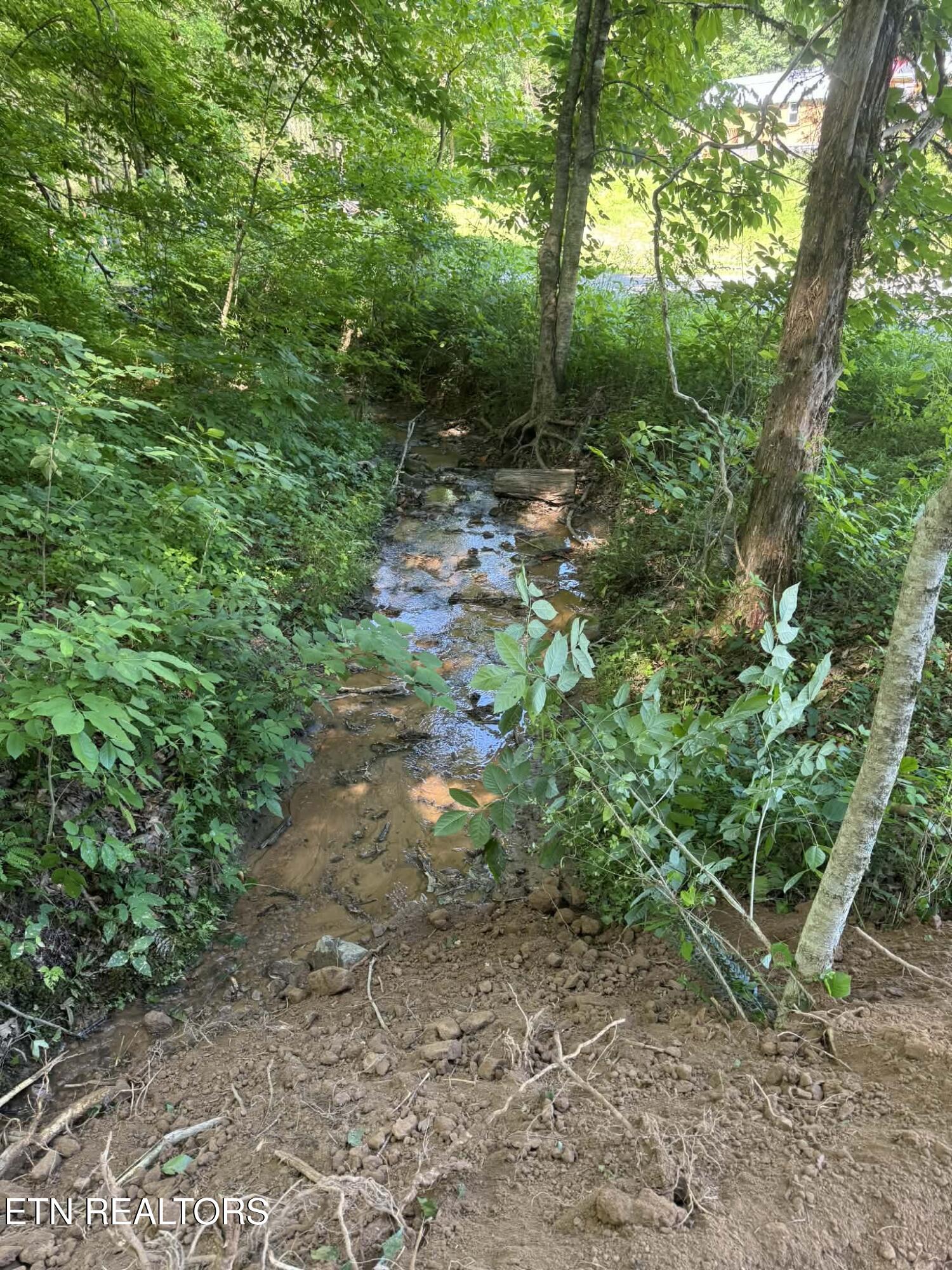 Tower Road Tazewell TN 37879