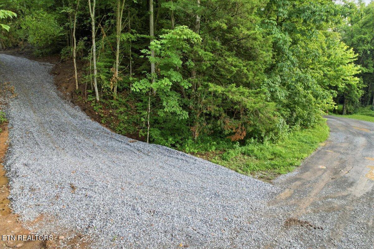 Tower Road Tazewell TN 37879