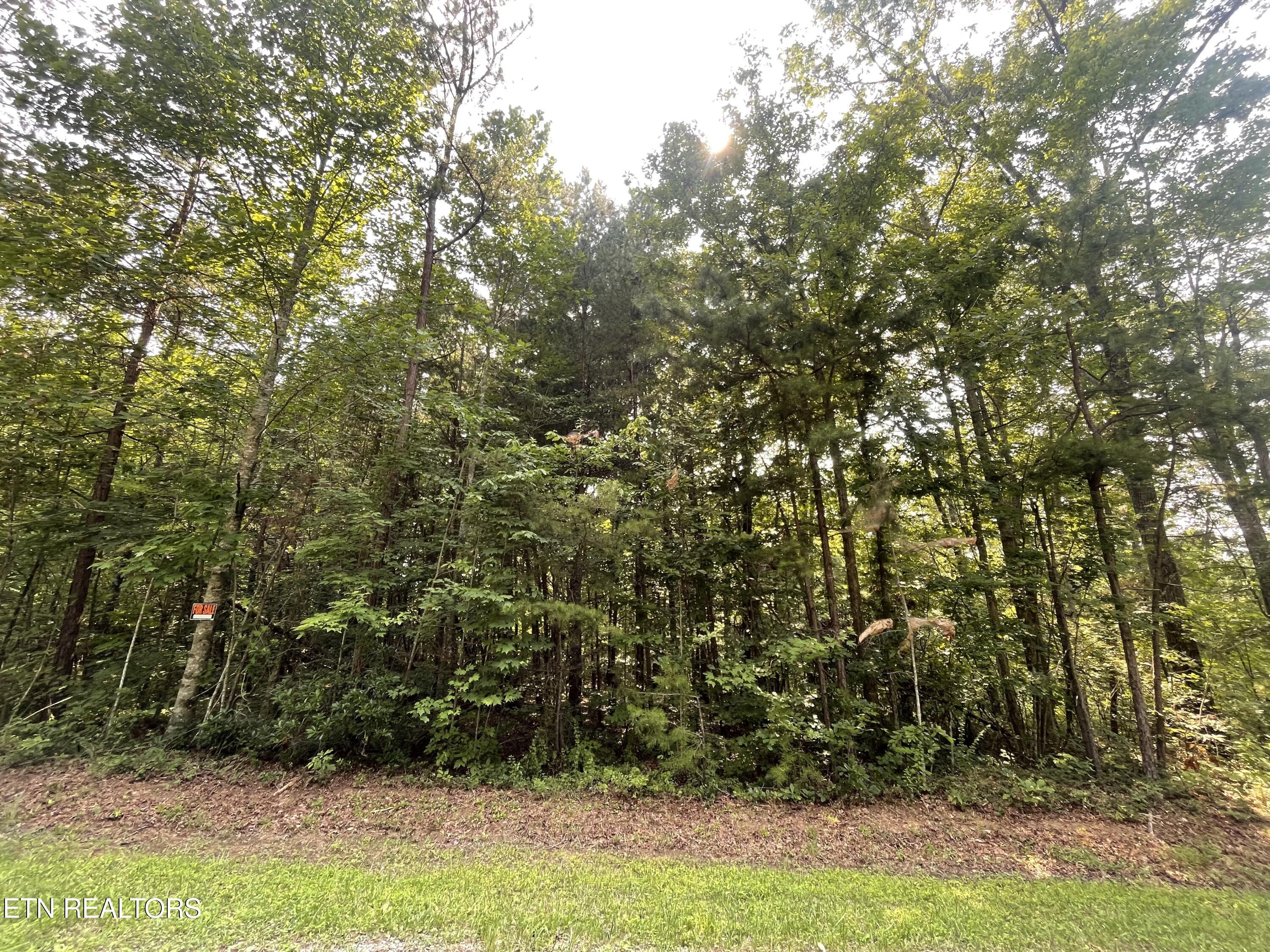 Kelly Lane Jamestown TN 38556