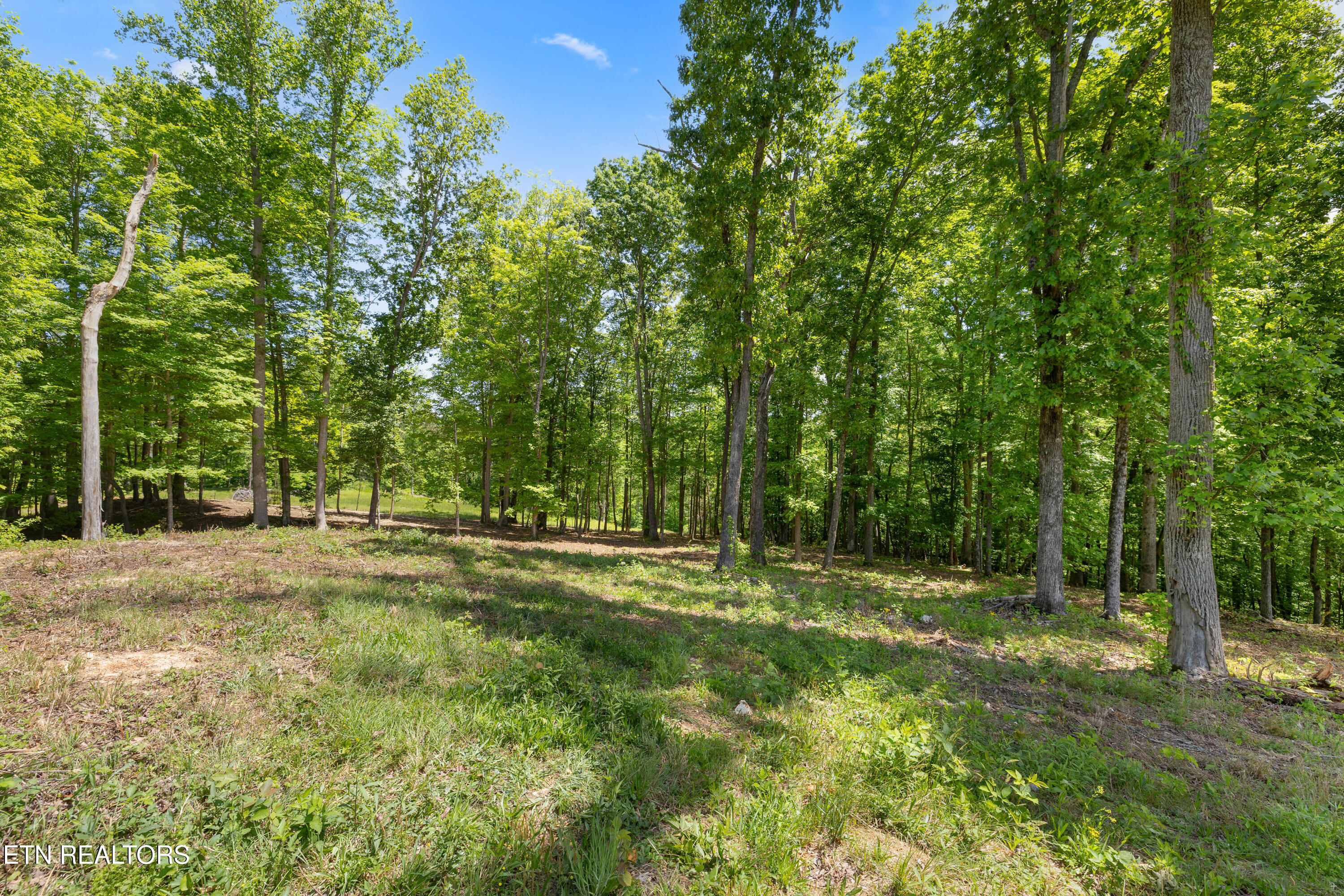 0 Providence Ridge Way Knoxville TN 37932