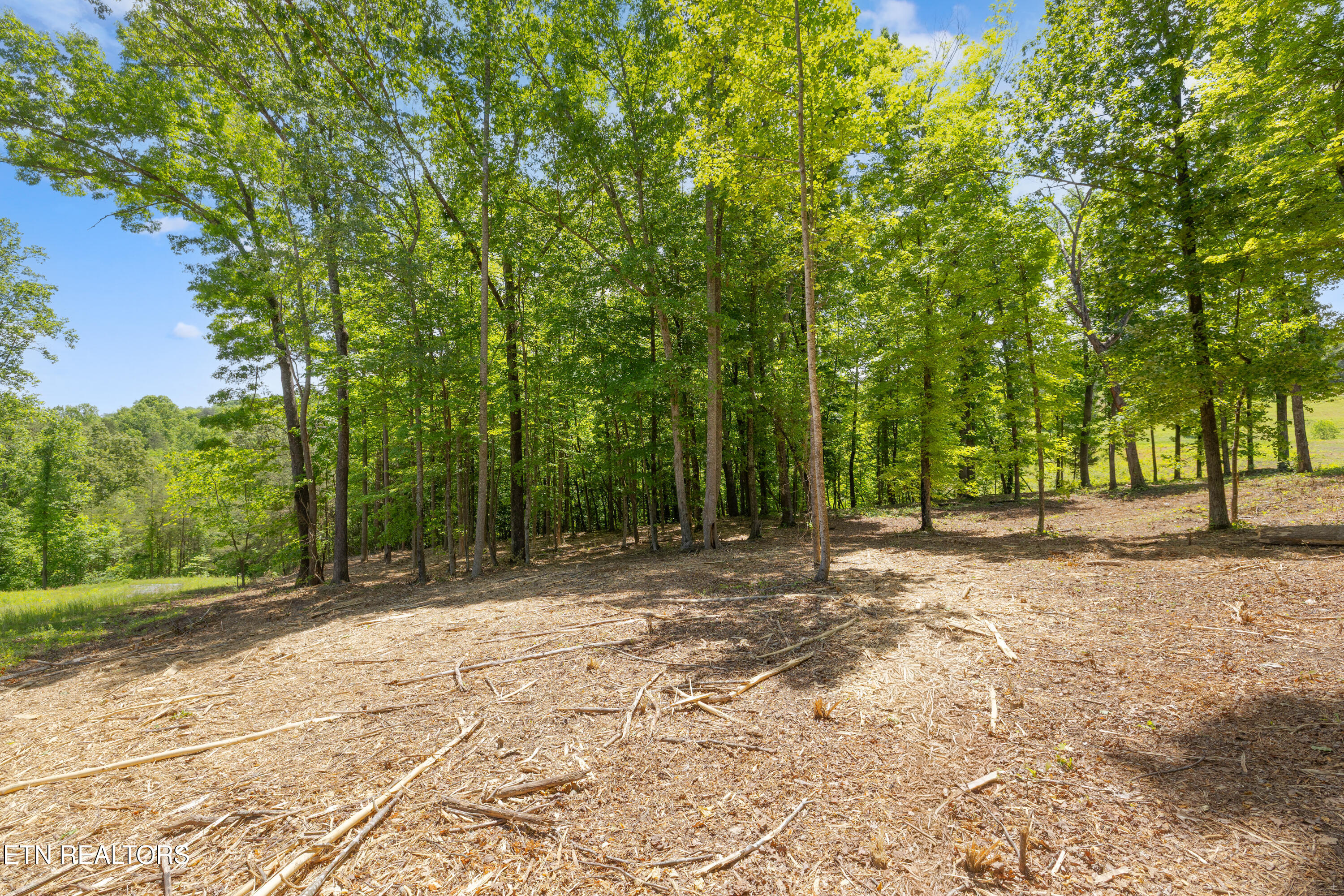 0 Providence Ridge Way Knoxville TN 37932