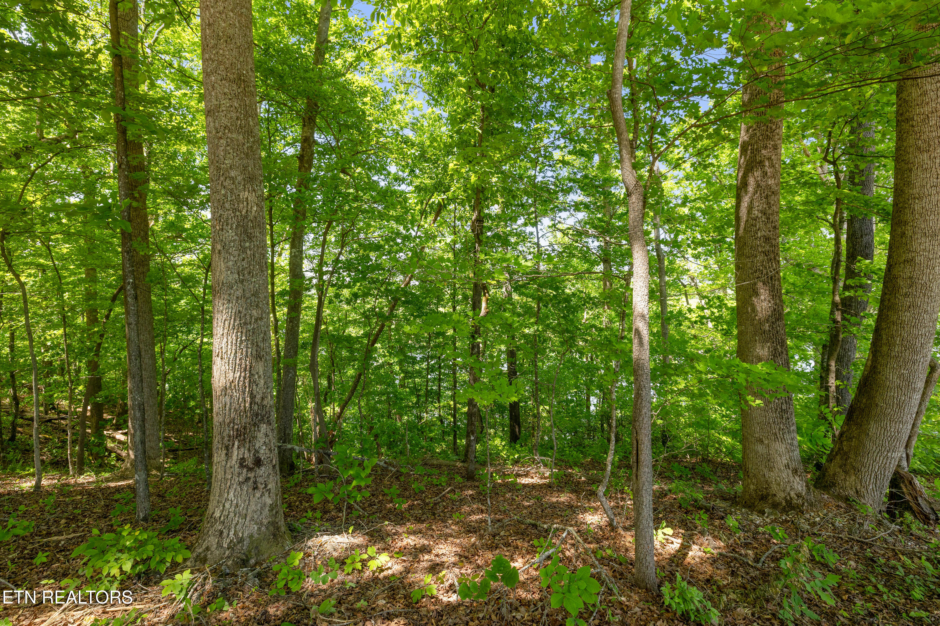 0 Providence Ridge Way Knoxville TN 37932