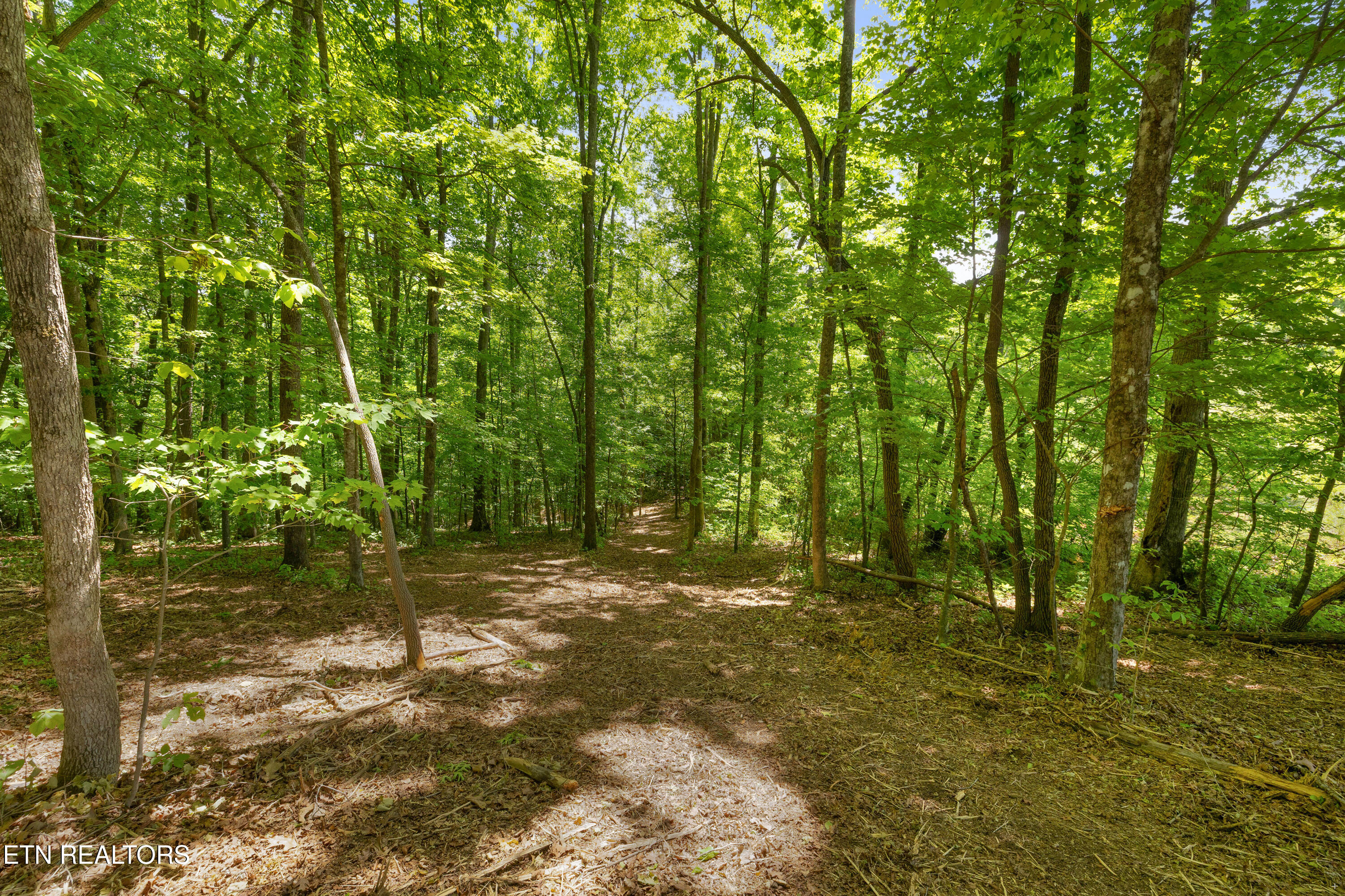 0 Providence Ridge Way Knoxville TN 37932