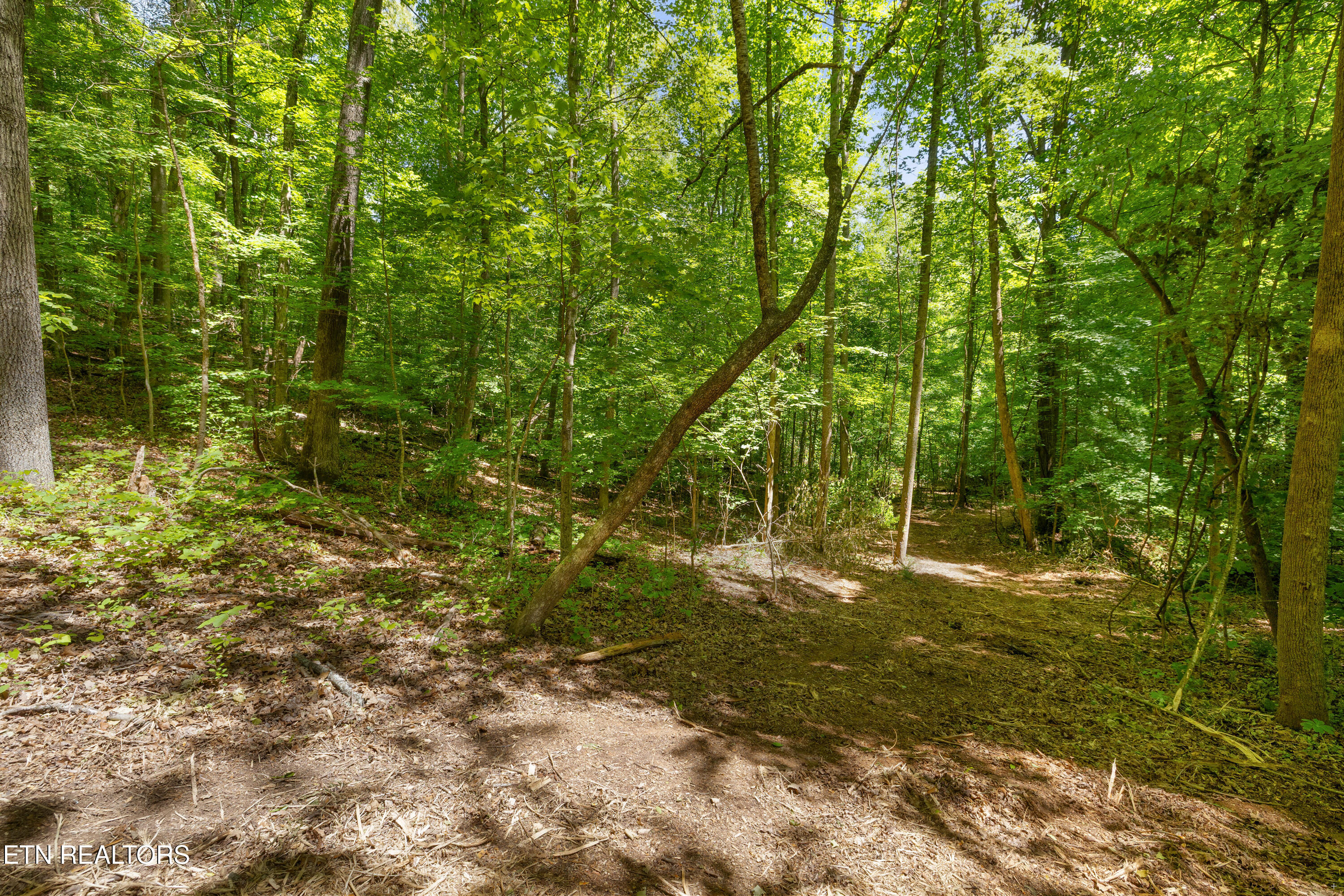 0 Providence Ridge Way Knoxville TN 37932