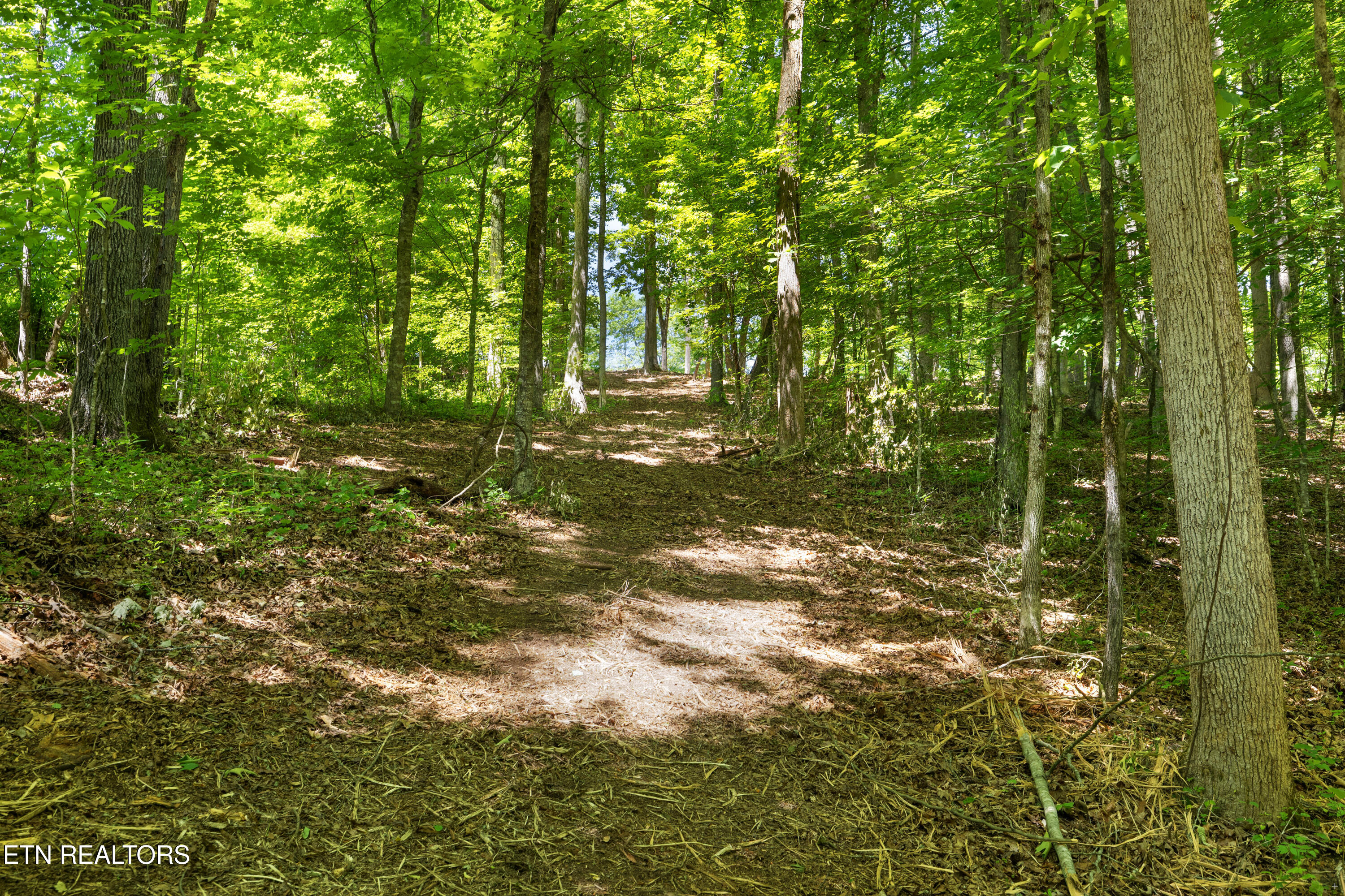 0 Providence Ridge Way Knoxville TN 37932