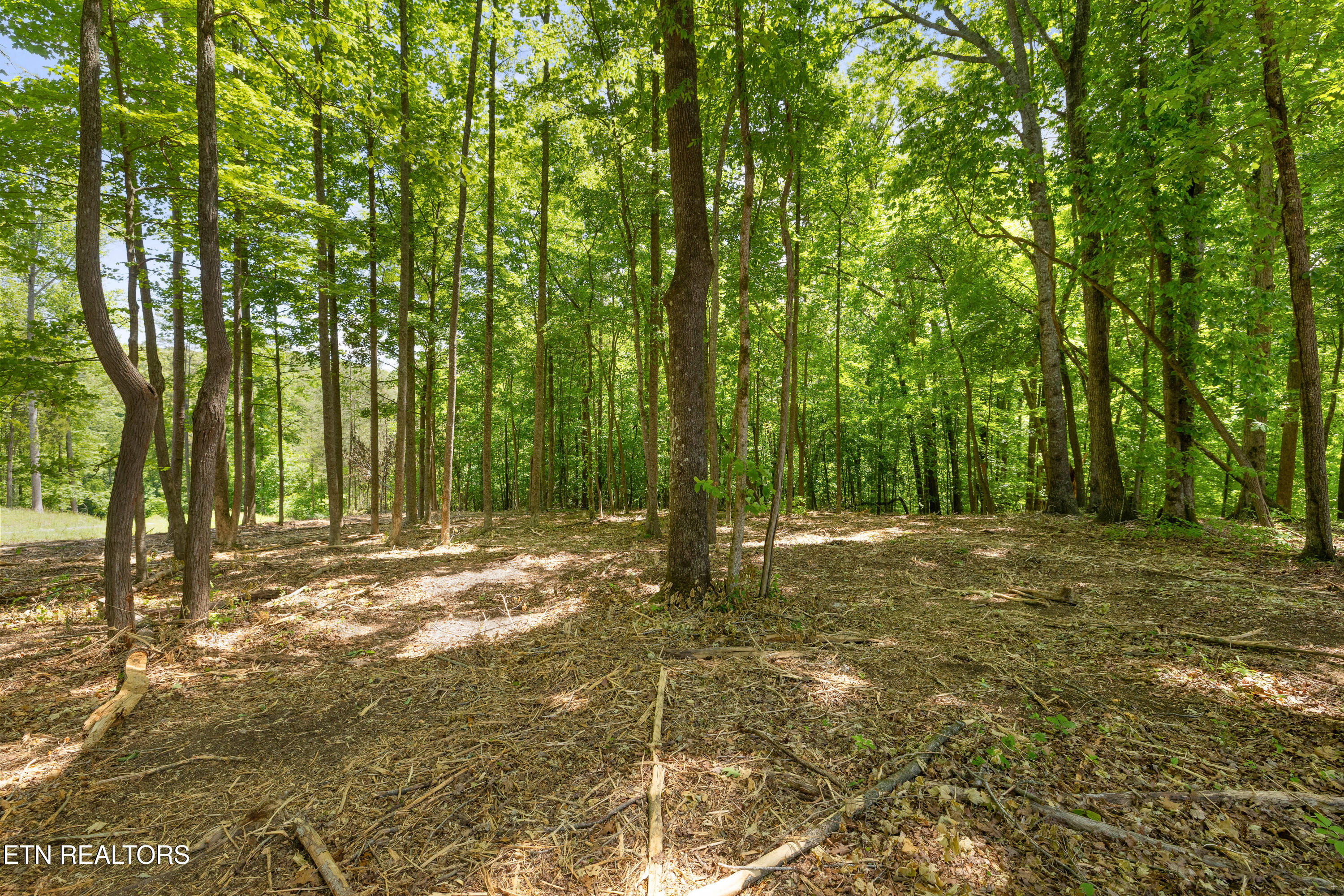 0 Providence Ridge Way Knoxville TN 37932