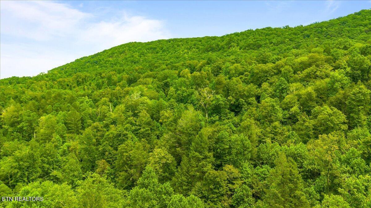 0 Frost Bottom Road Oliver Springs TN 37840