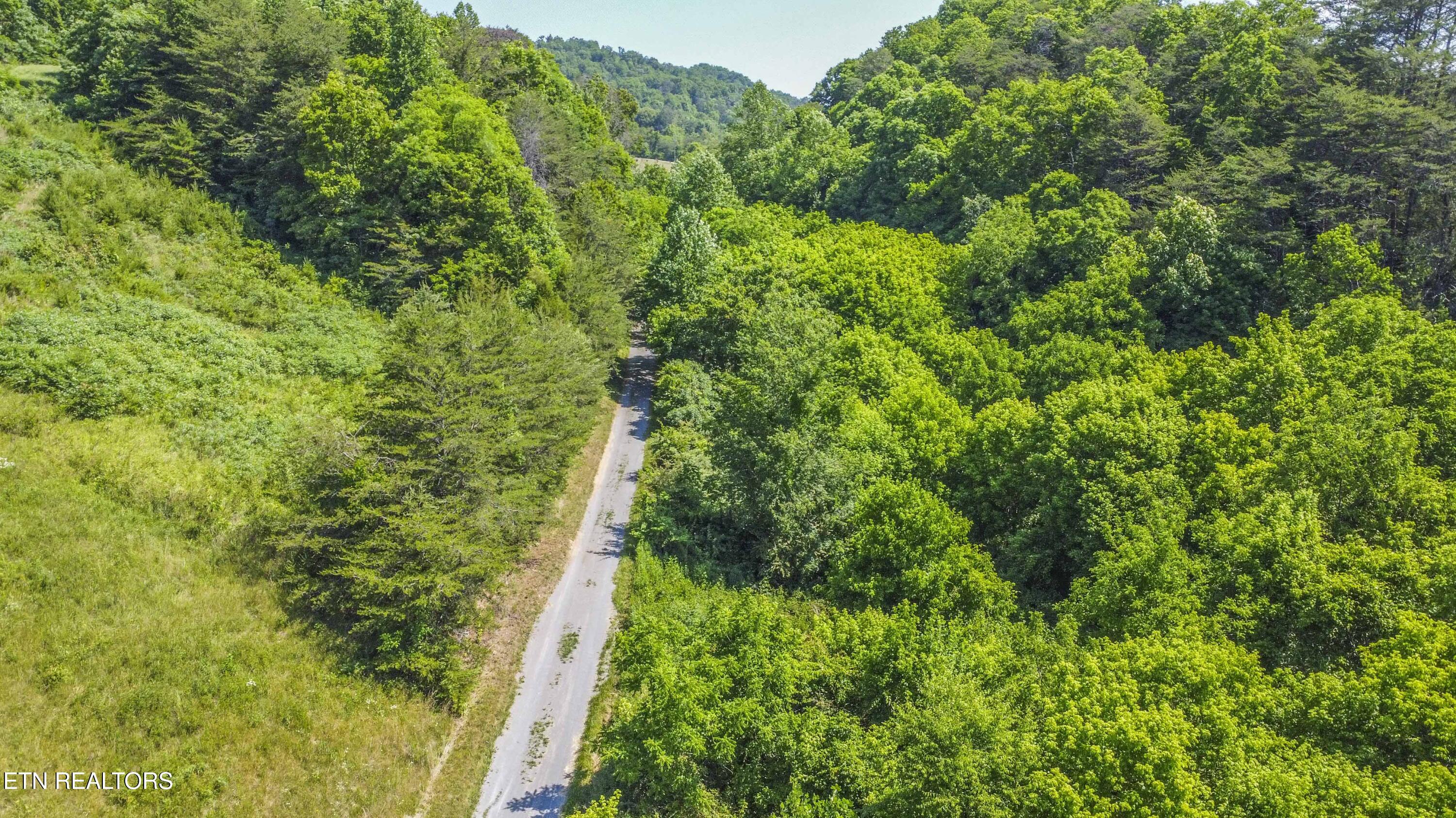 Ousley Gap Road Maynardville TN 37807