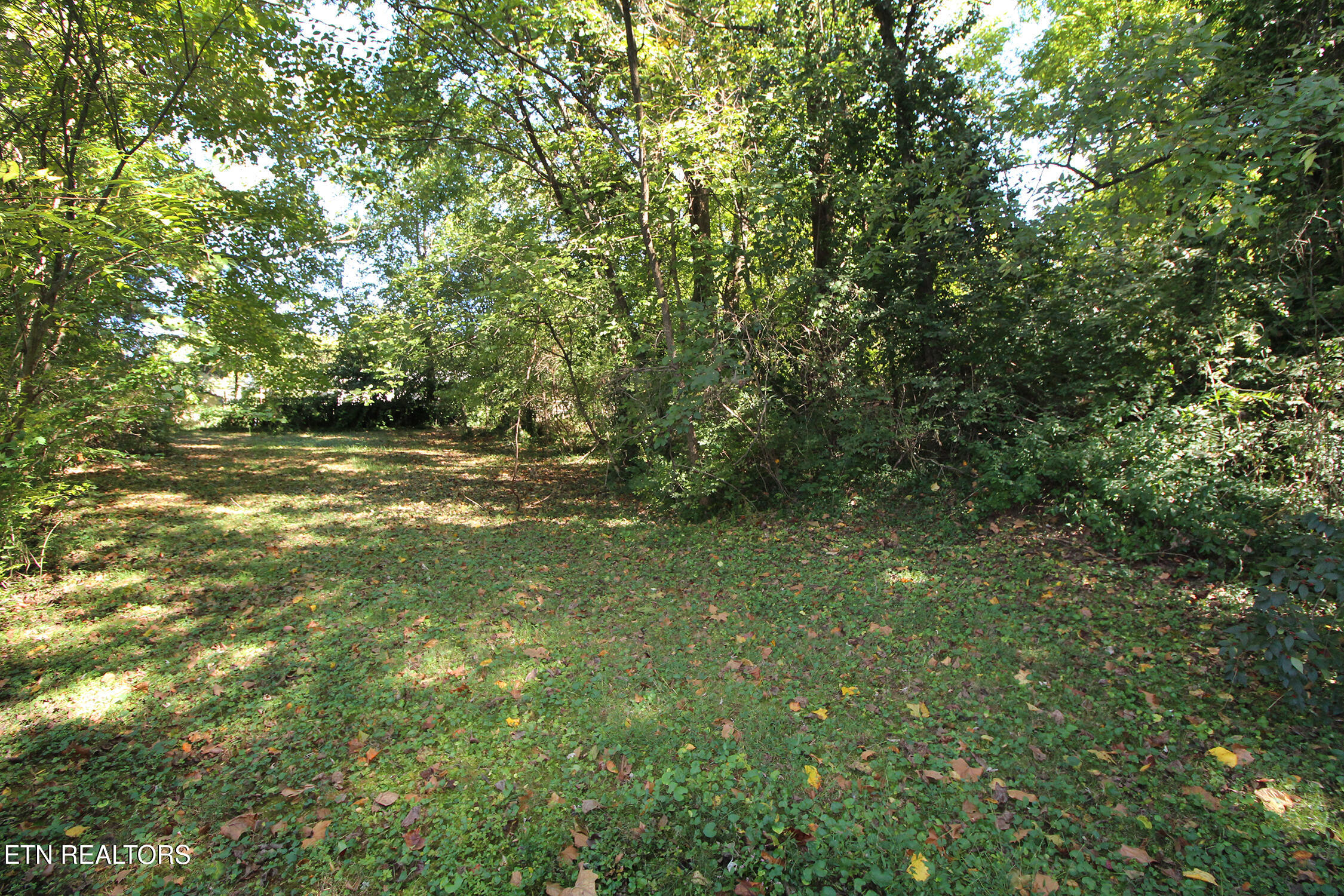 3111 Sycamore View Court Knoxville TN 37921