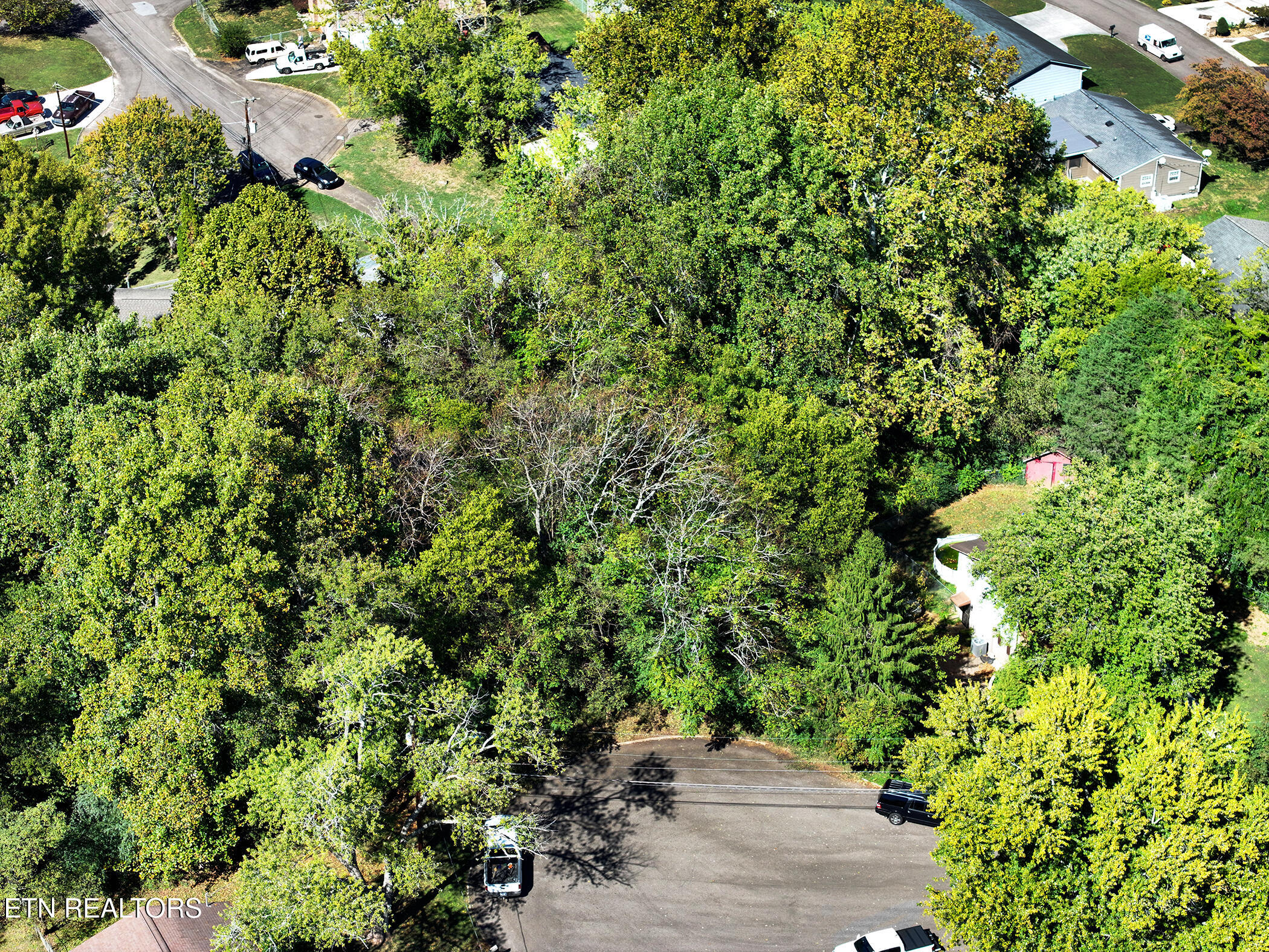 3111 Sycamore View Court Knoxville TN 37921
