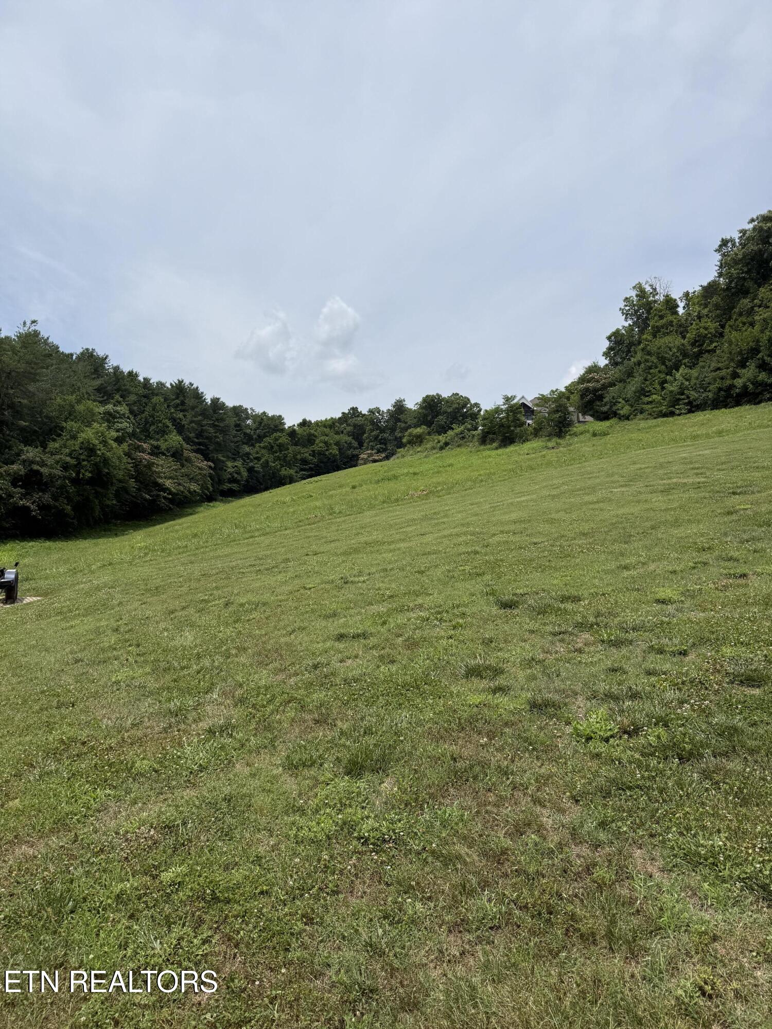 Parks Ferry Road Friendsville TN 37737