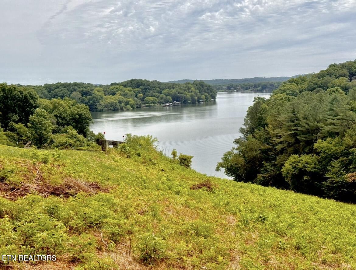 Parks Ferry Road Friendsville TN 37737