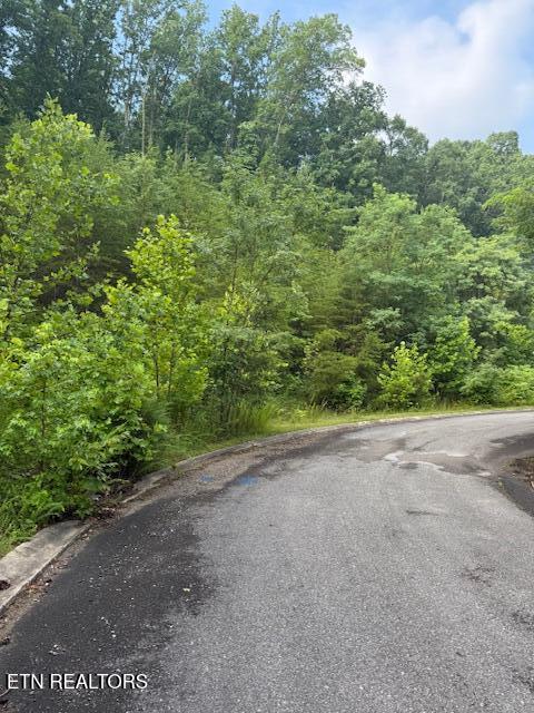 Lot 14 Woodland Creek Drive Dandridge TN 37725