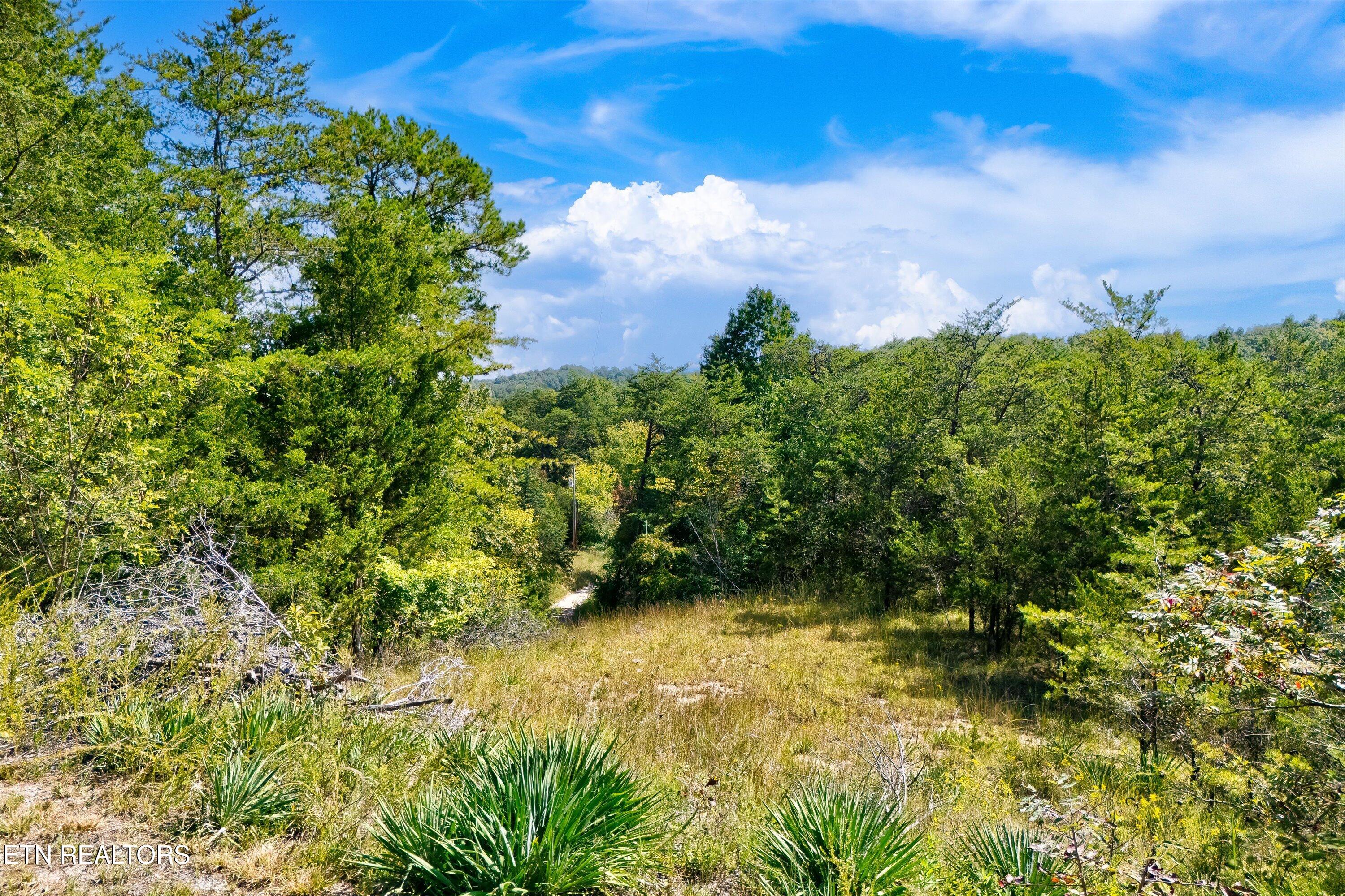 00 Flat Creek Road Sevierville TN 37876