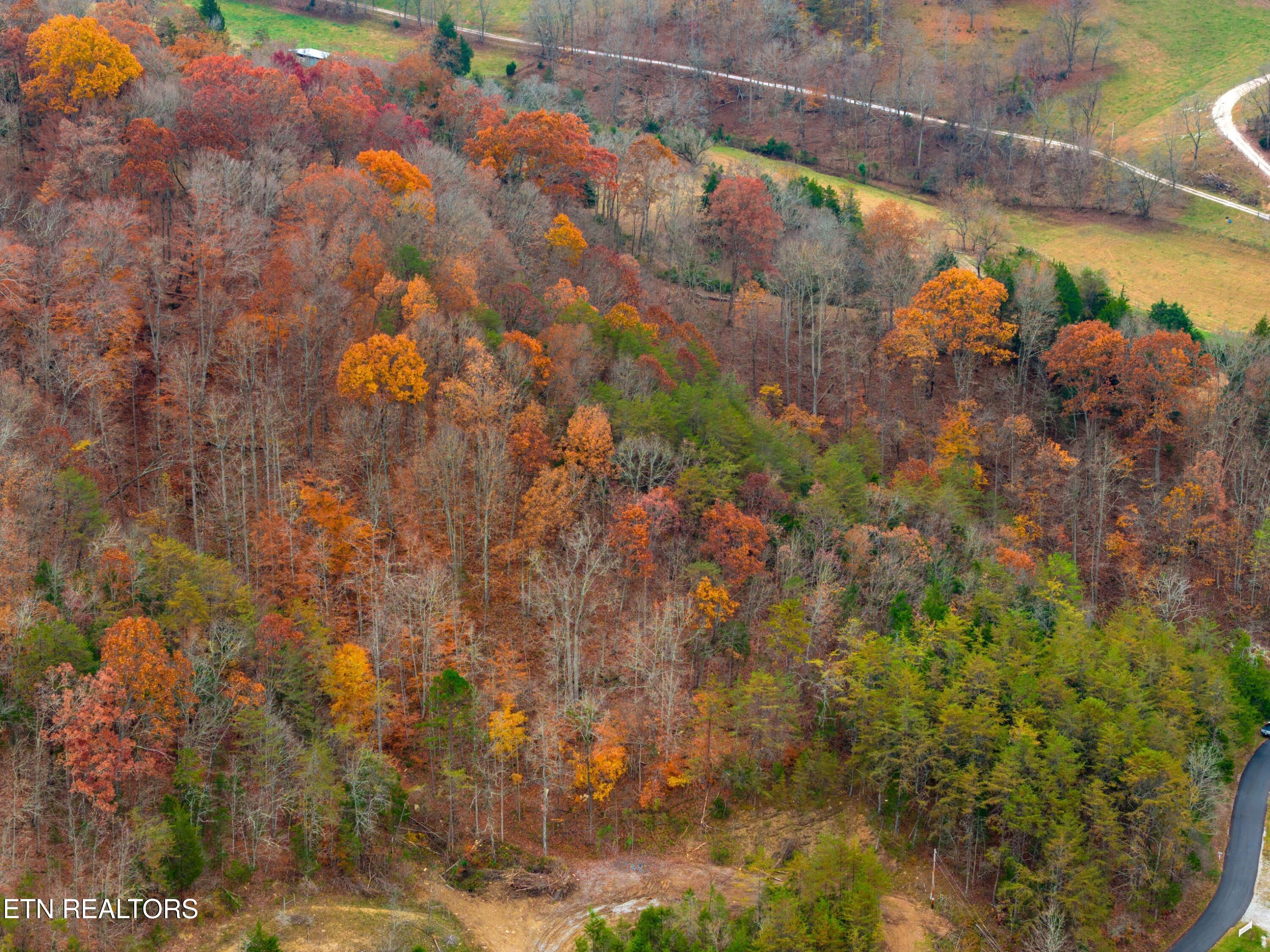Broken Valley Road Thorn Hill TN 37881
