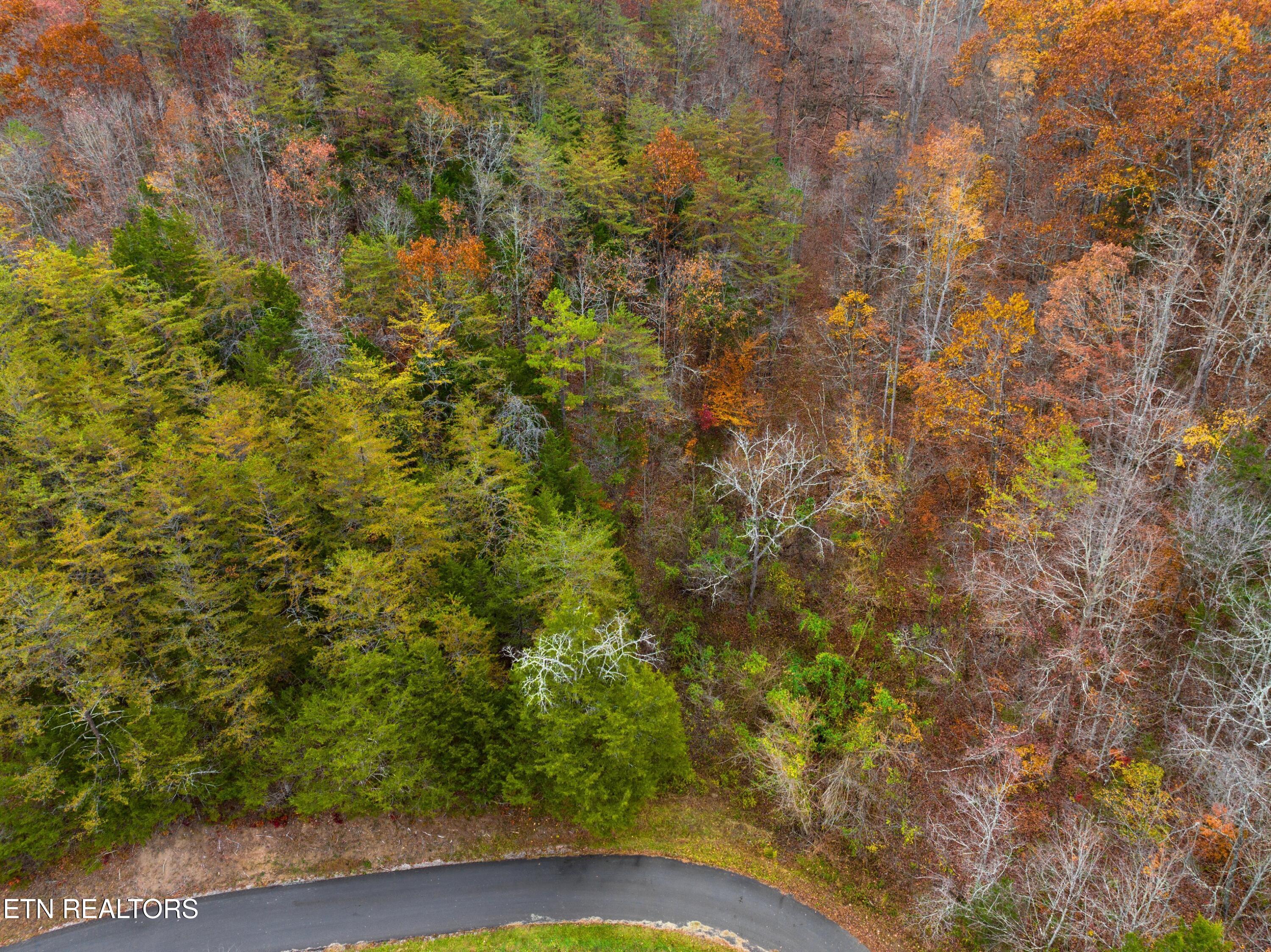 Broken Valley Road Thorn Hill TN 37881