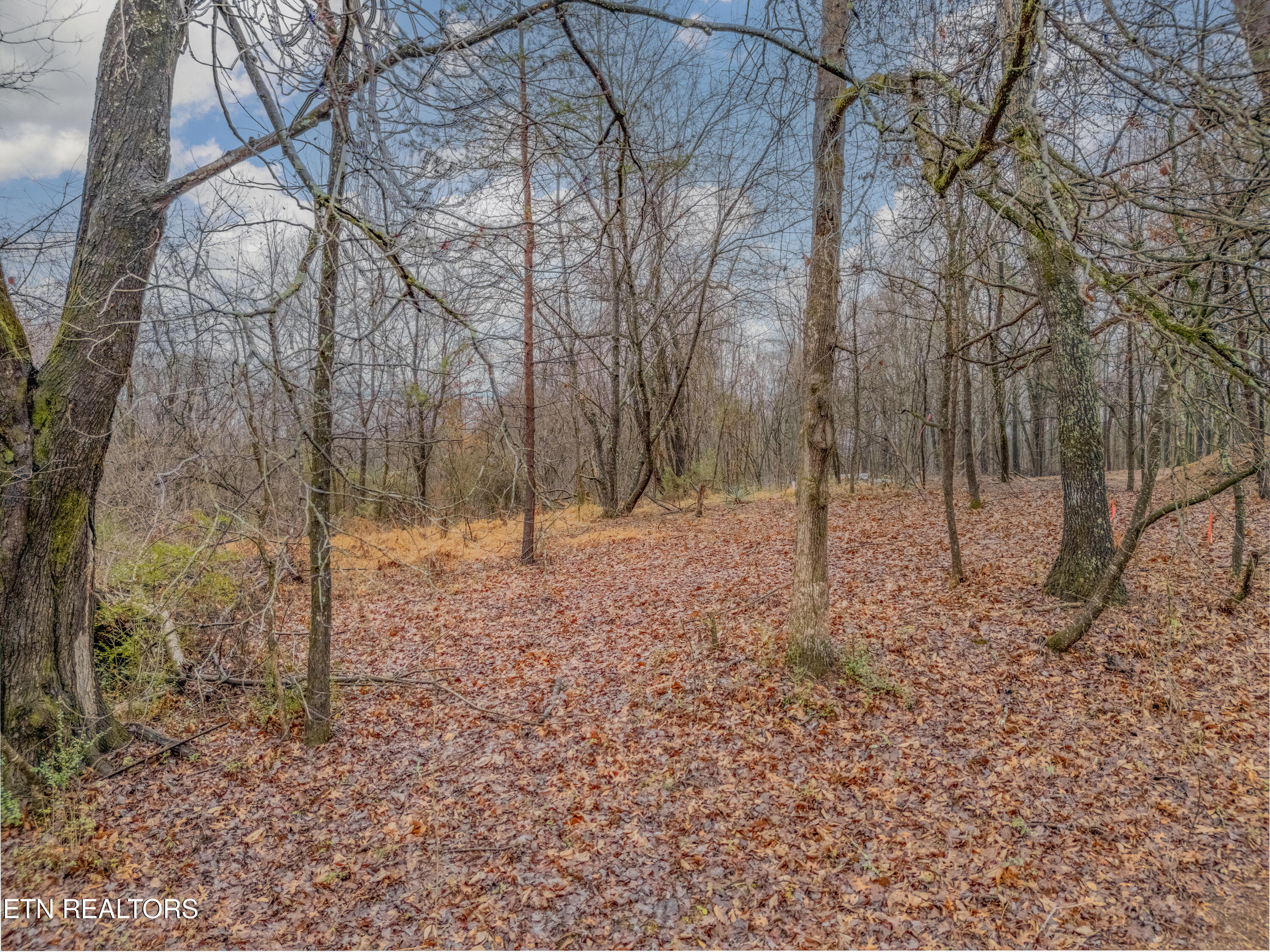 479 Black Oak Road Clinton TN 37716