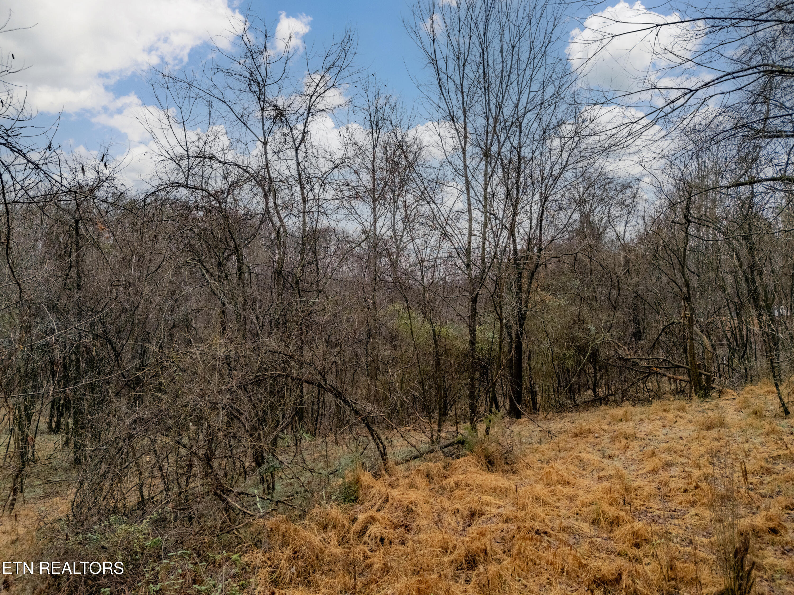 479 Black Oak Road Clinton TN 37716