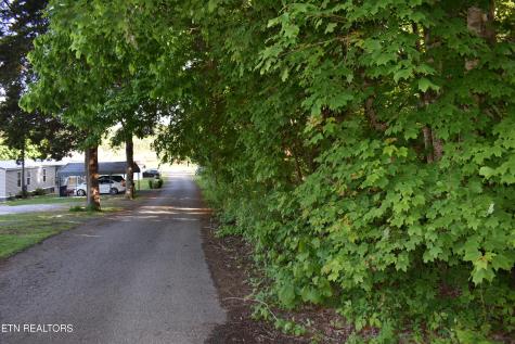 Scott Street Harrogate TN 37752