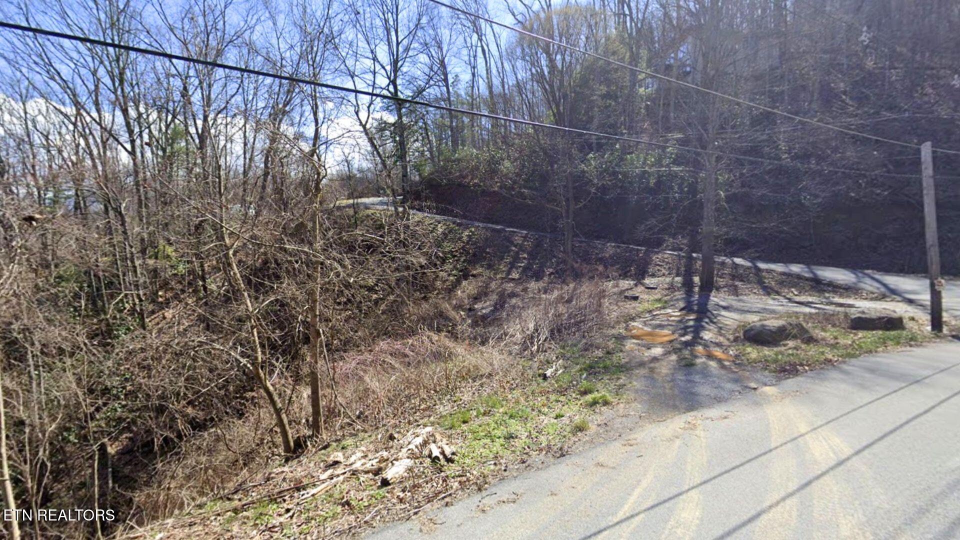 0 Arbon Drive Gatlinburg TN 37738