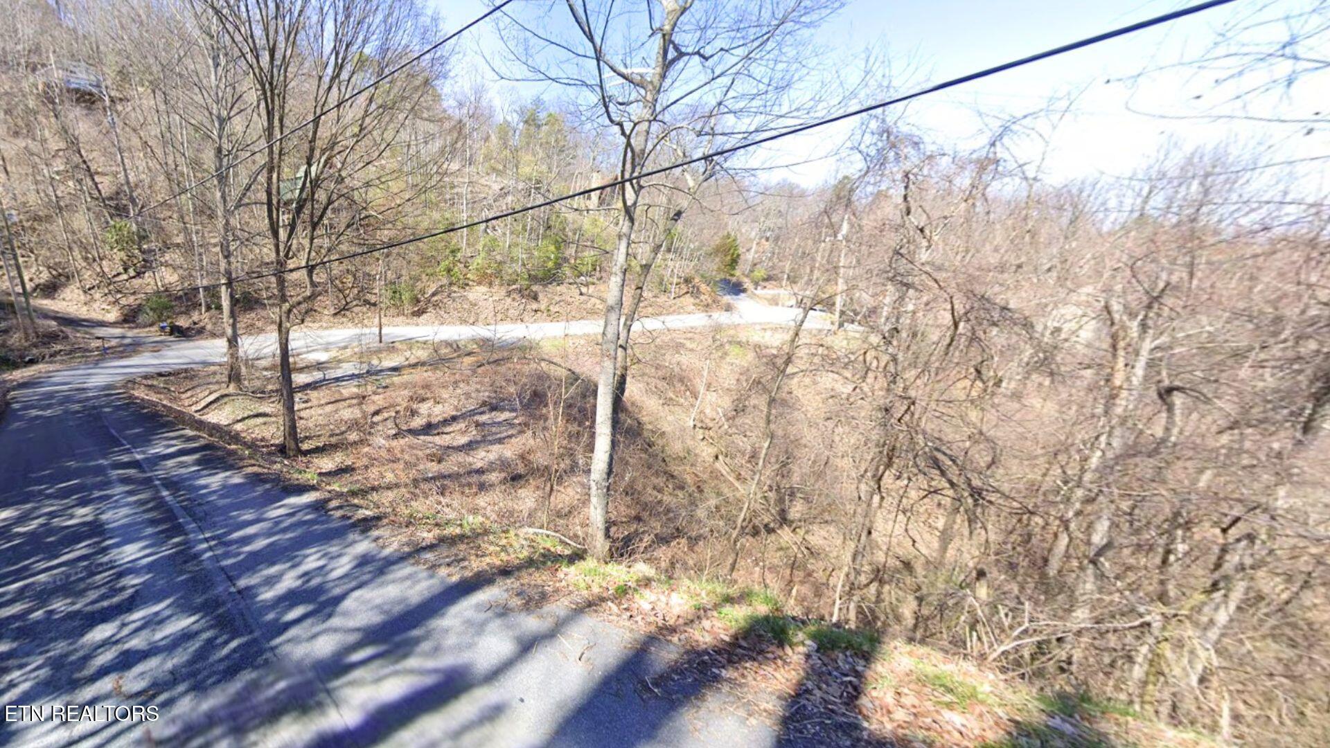 0 Arbon Drive Gatlinburg TN 37738