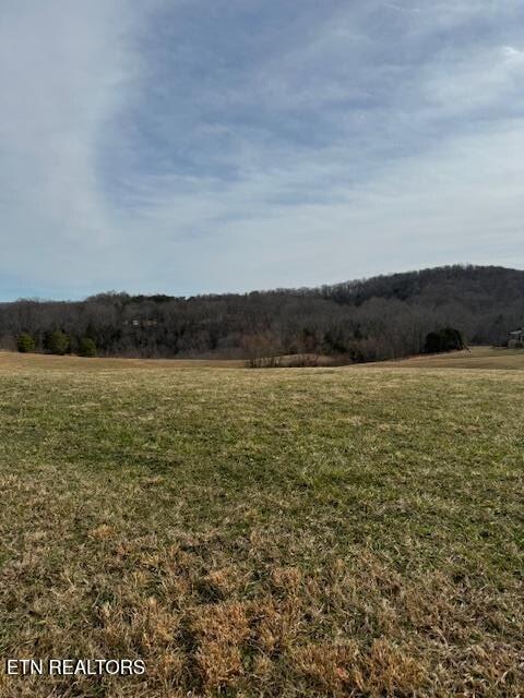 Lot 13 Holly Bend Drive Byrdstown TN 38549