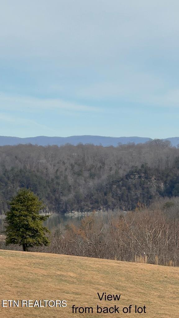 Lot 13 Holly Bend Drive Byrdstown TN 38549