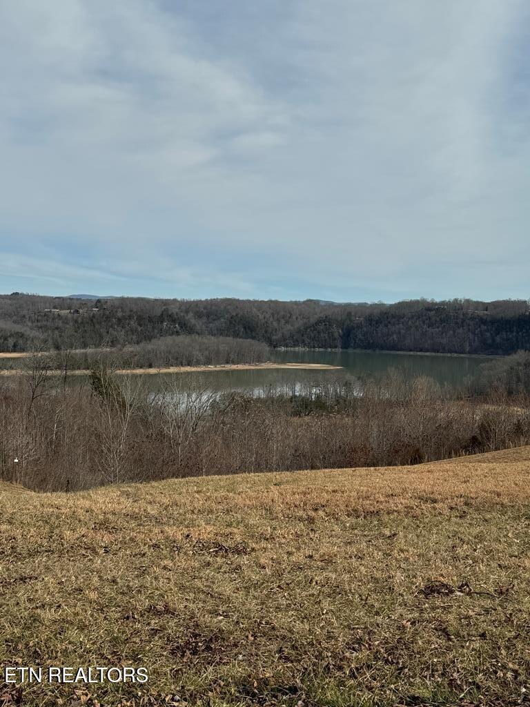 Lot 13 Holly Bend Drive Byrdstown TN 38549