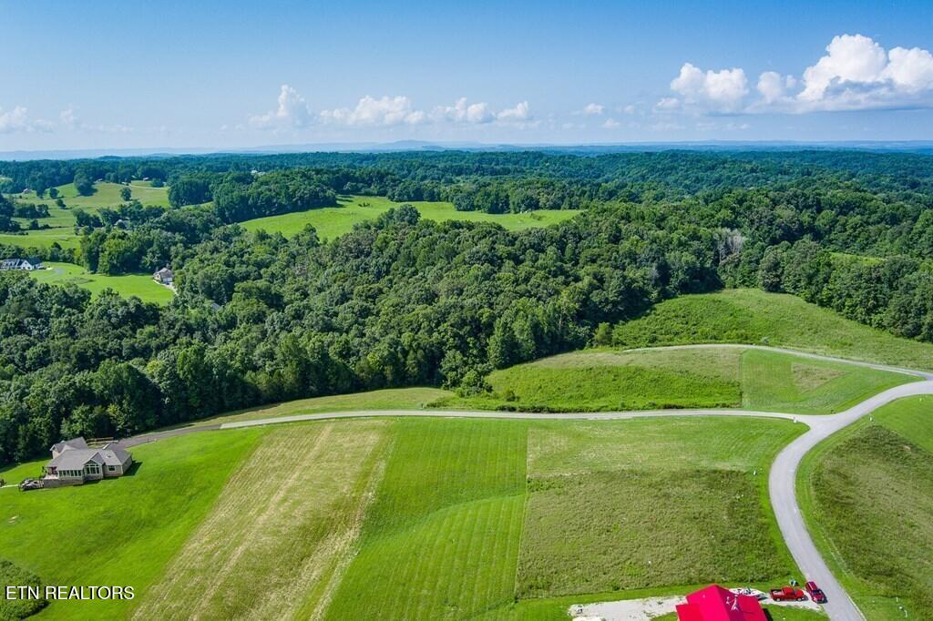 Lot 13 Holly Bend Drive Byrdstown TN 38549