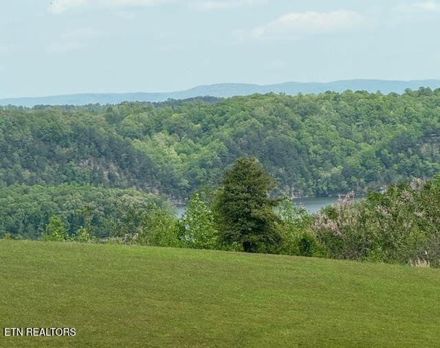 Lot 13 Holly Bend Drive Byrdstown TN 38549