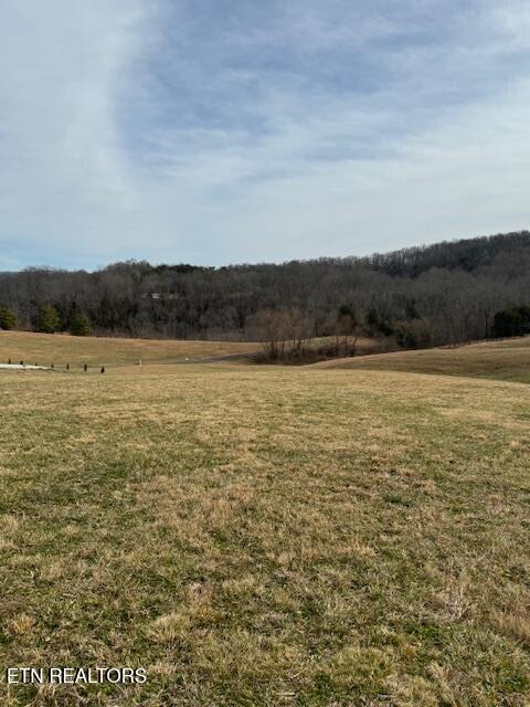 Lot 13 Holly Bend Drive Byrdstown TN 38549