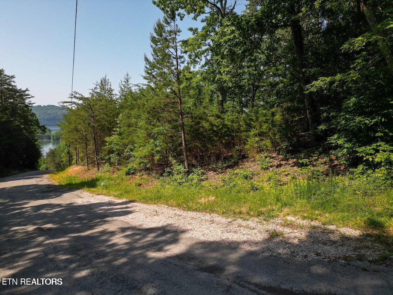 156 Lakeview Drive Sharps Chapel TN 37866