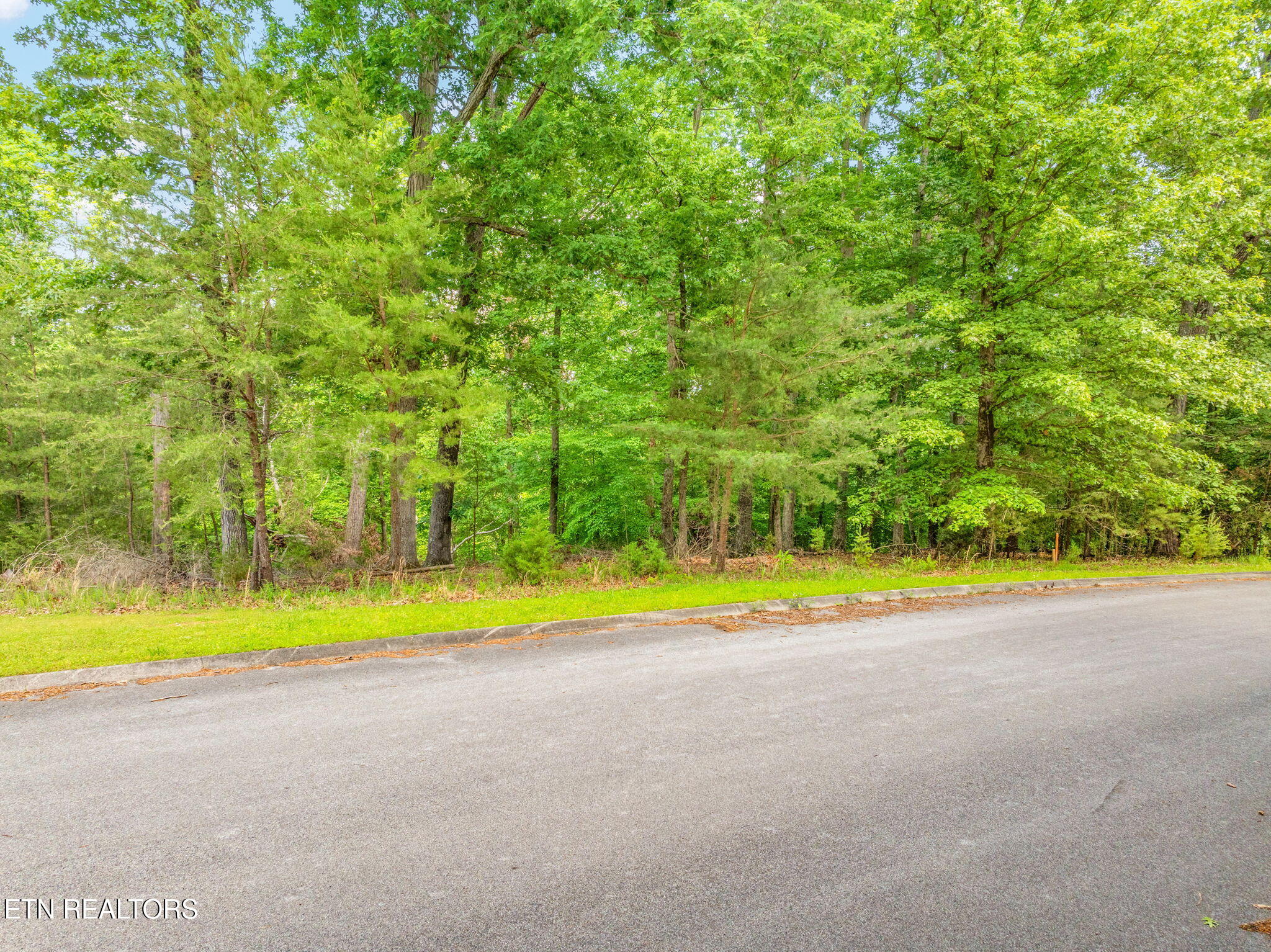 Lot 15 Waterstone Drive Dandridge TN 37725