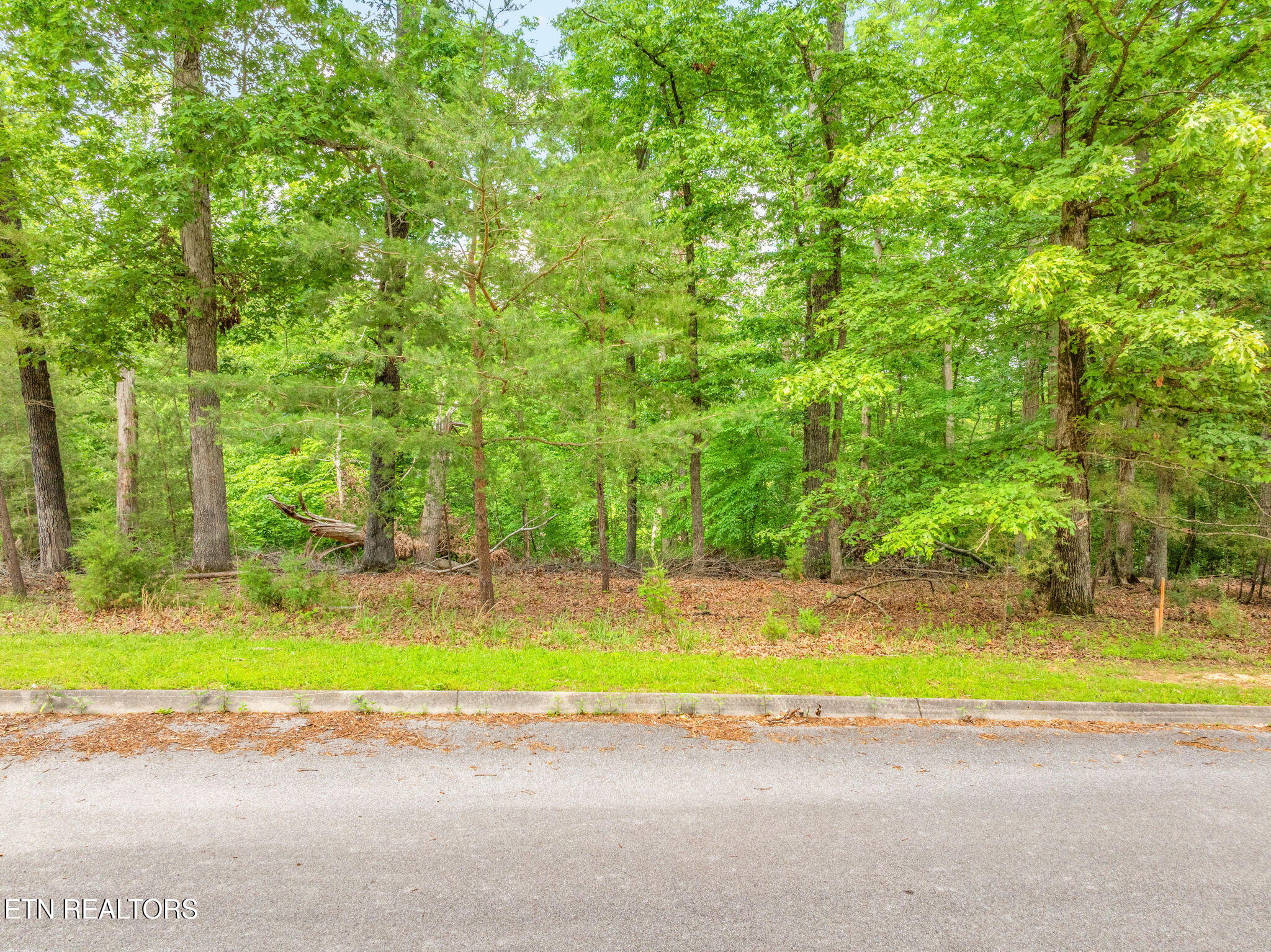 Lot 15 Waterstone Drive Dandridge TN 37725