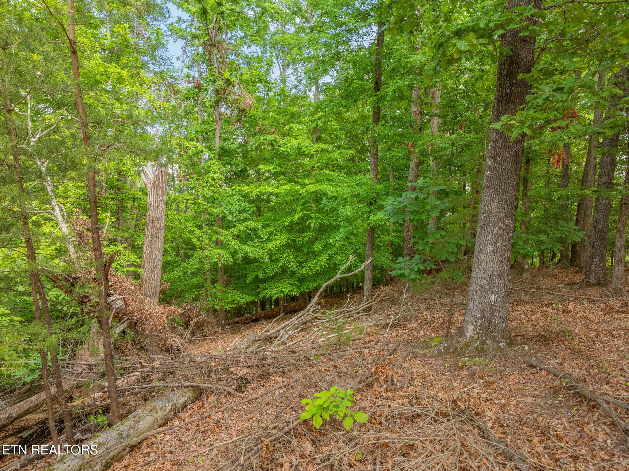 Lot 15 Waterstone Drive Dandridge TN 37725