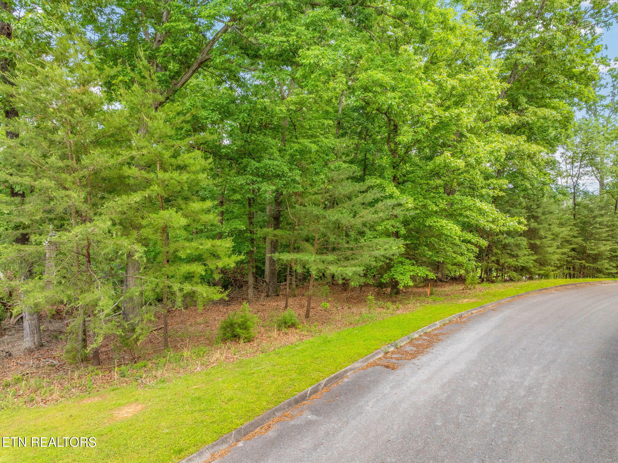 Lot 15 Waterstone Drive Dandridge TN 37725