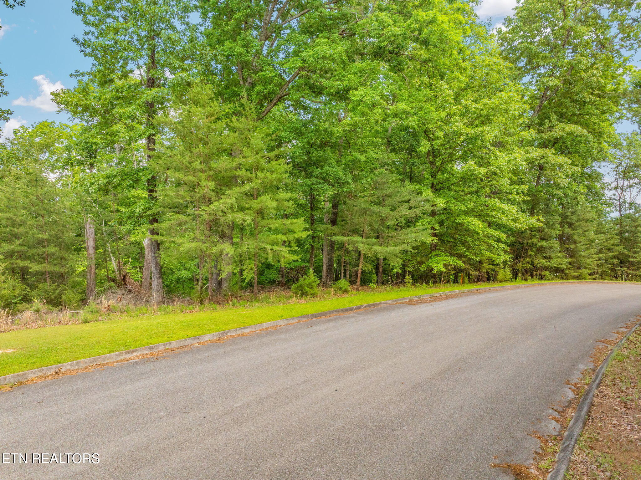Lot 15 Waterstone Drive Dandridge TN 37725
