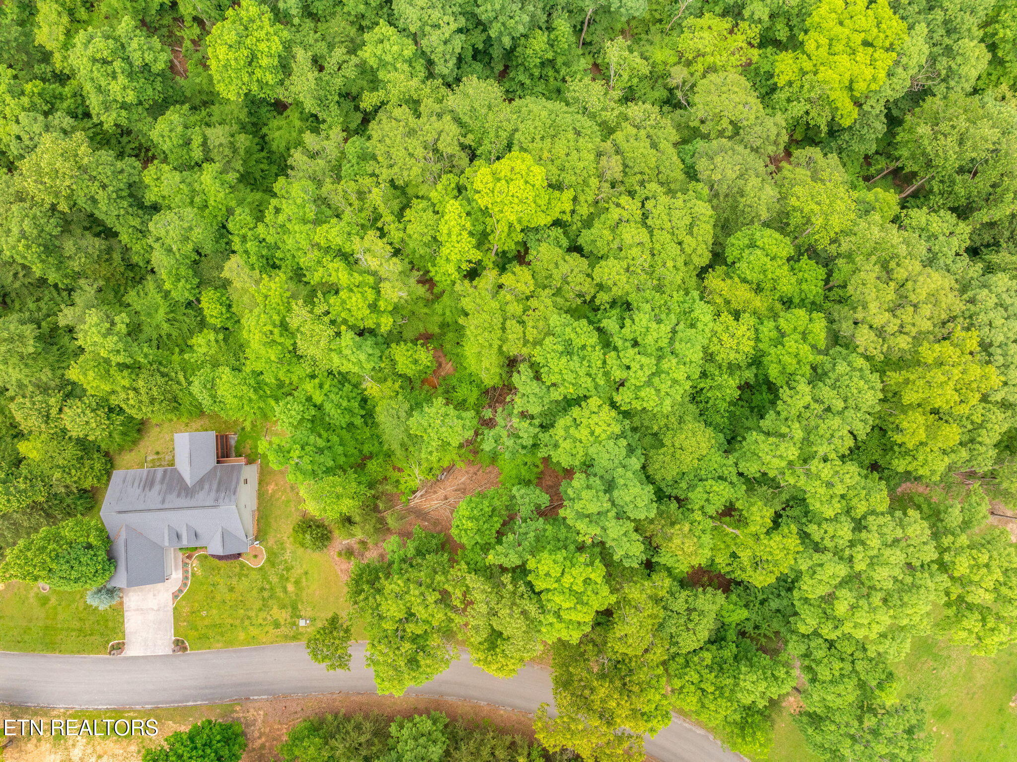 Lot 15 Waterstone Drive Dandridge TN 37725
