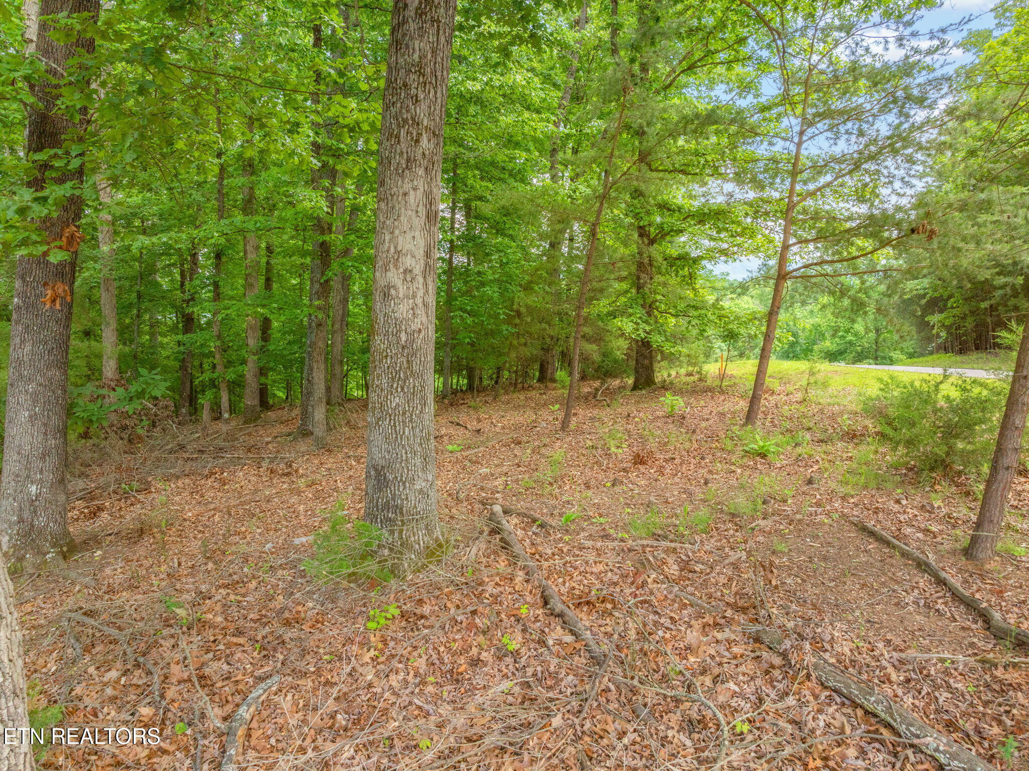 Lot 15 Waterstone Drive Dandridge TN 37725