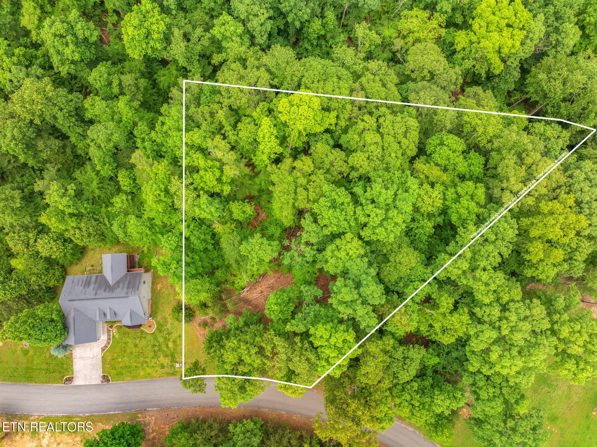 Lot 15 Waterstone Drive Dandridge TN 37725