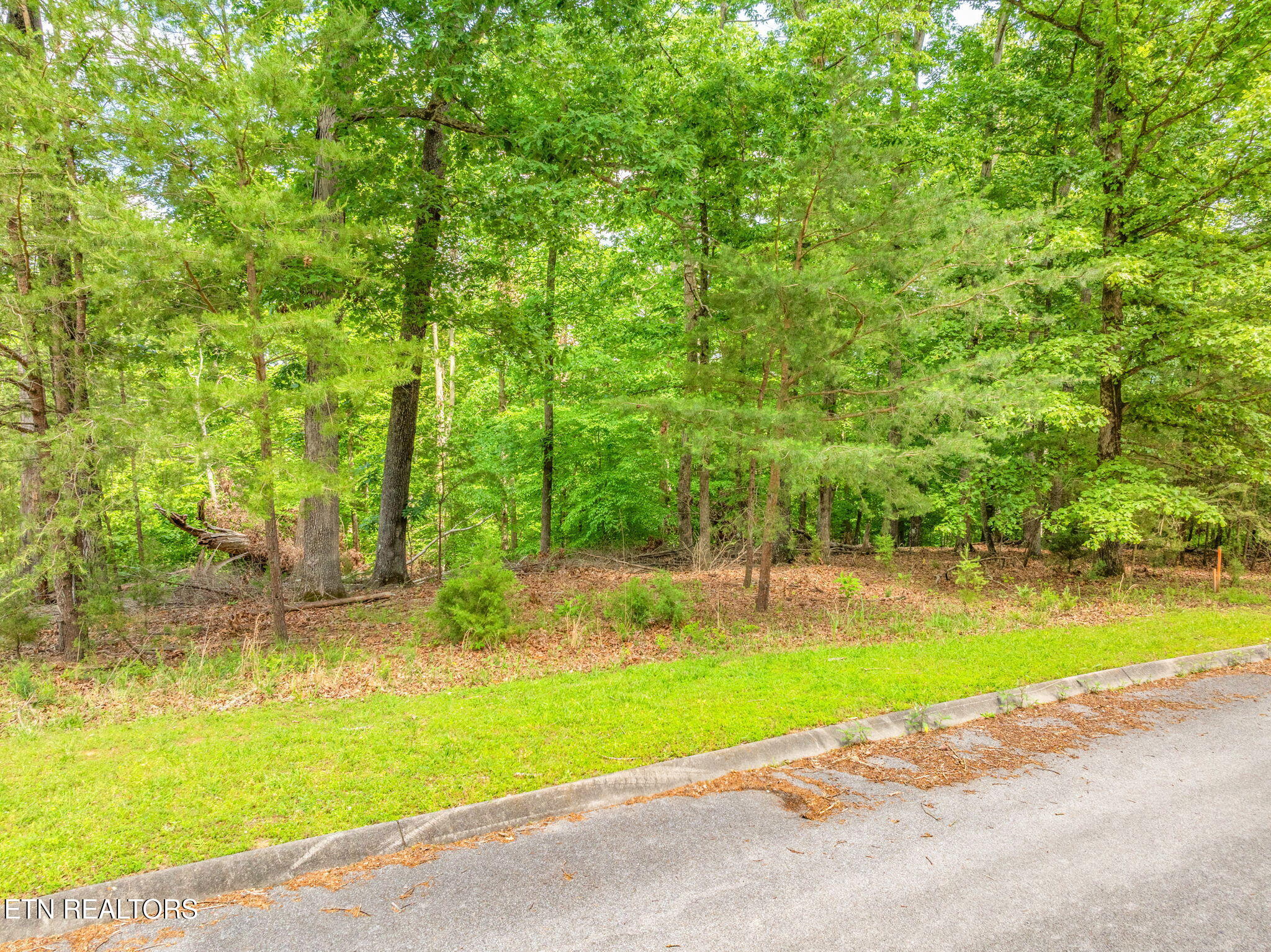 Lot 15 Waterstone Drive Dandridge TN 37725