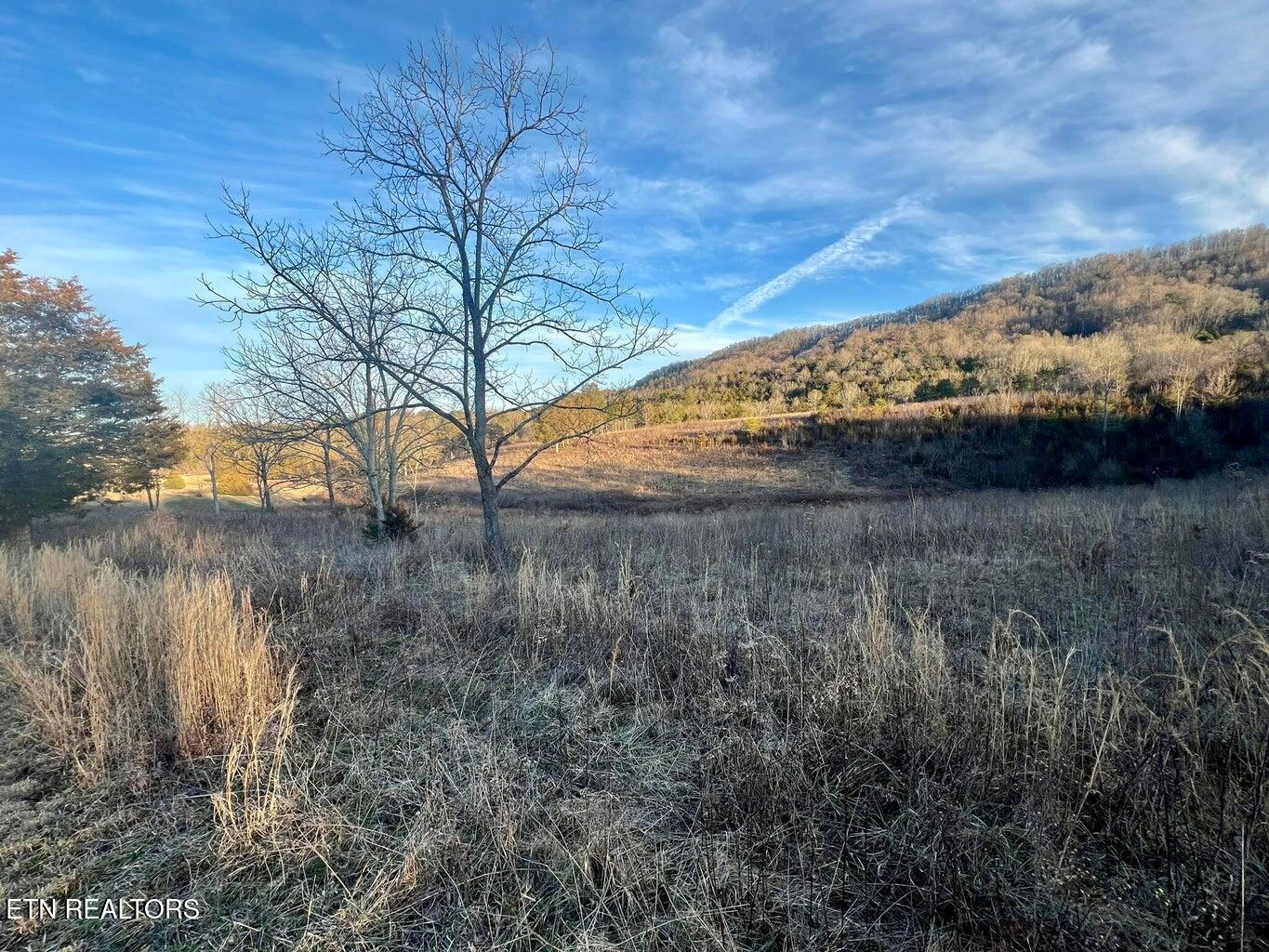 Water Waterfront Maynardville TN 37807