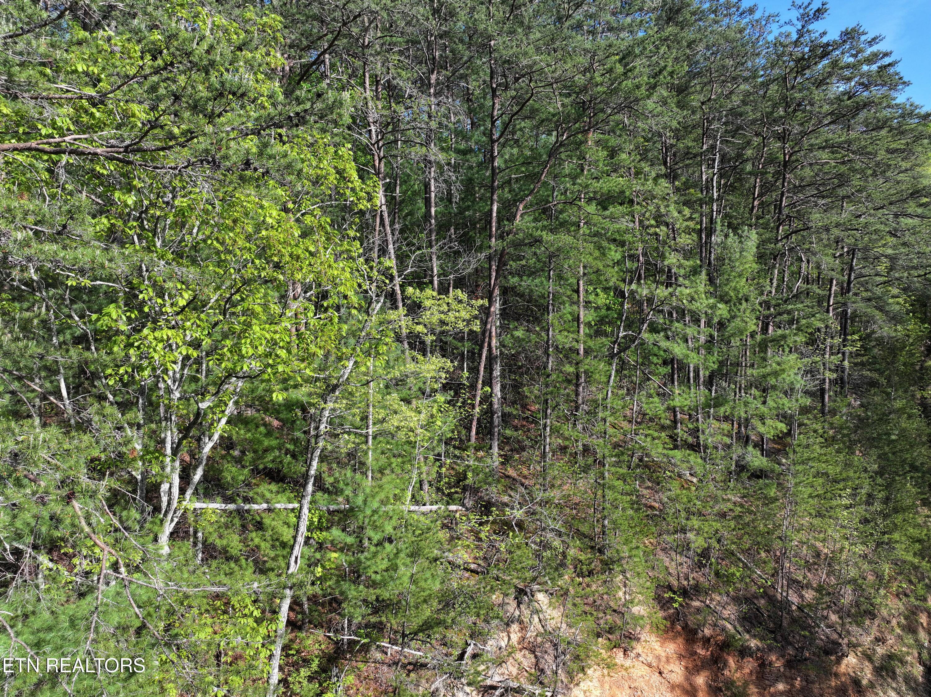 Sunset Road Sevierville TN 37862