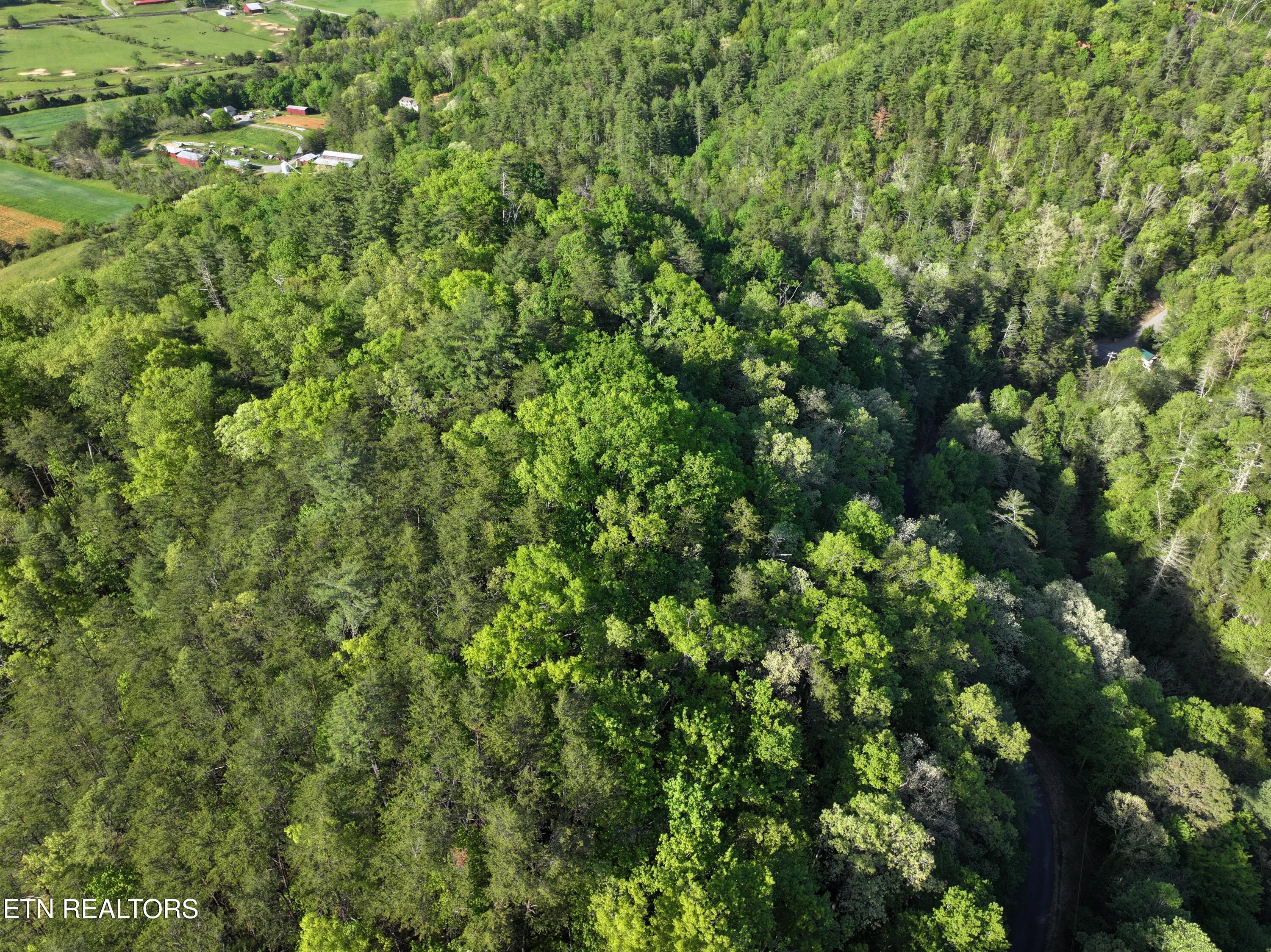 Sunset Road Sevierville TN 37862